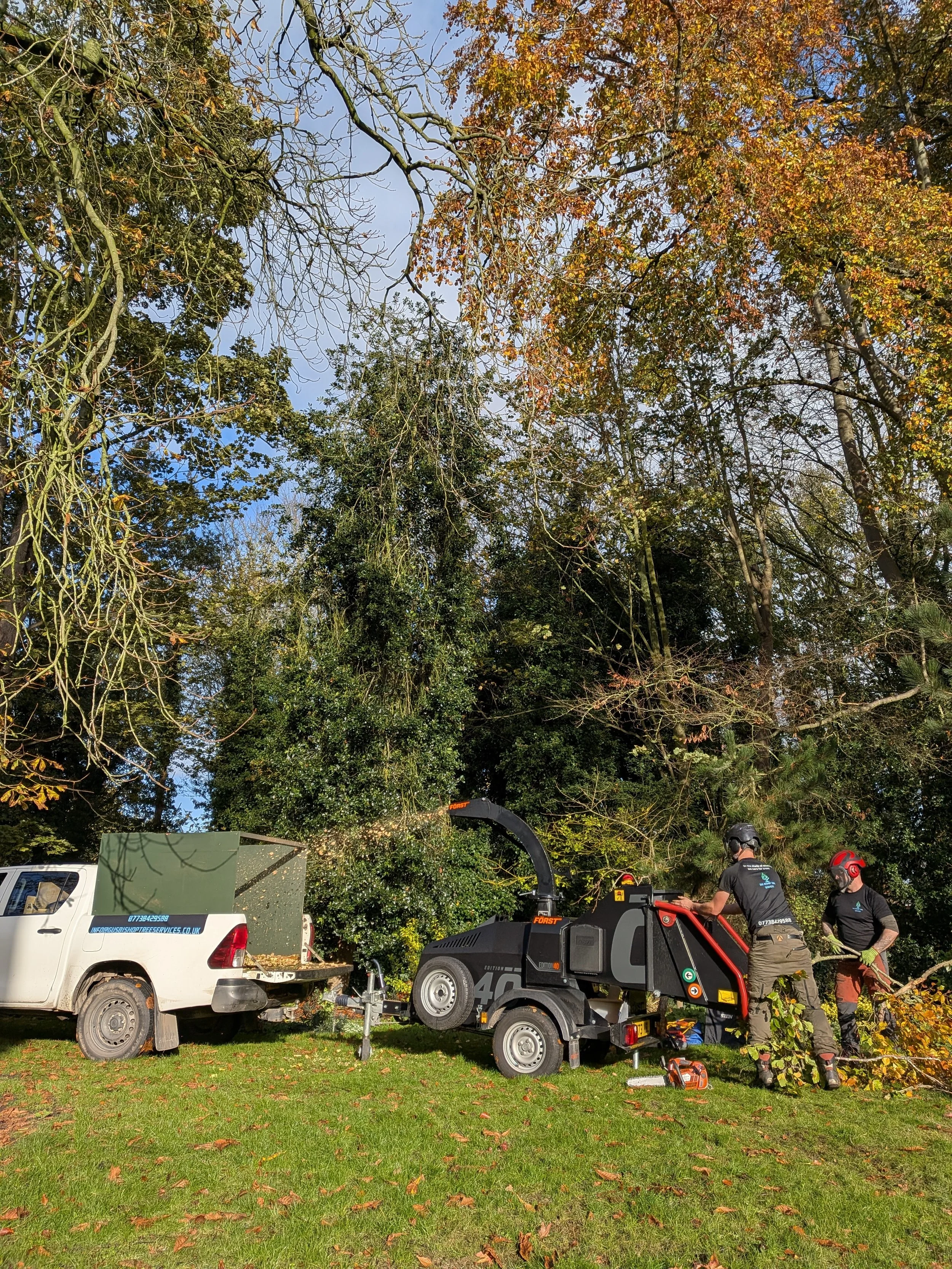 chipper gus bishop tree services