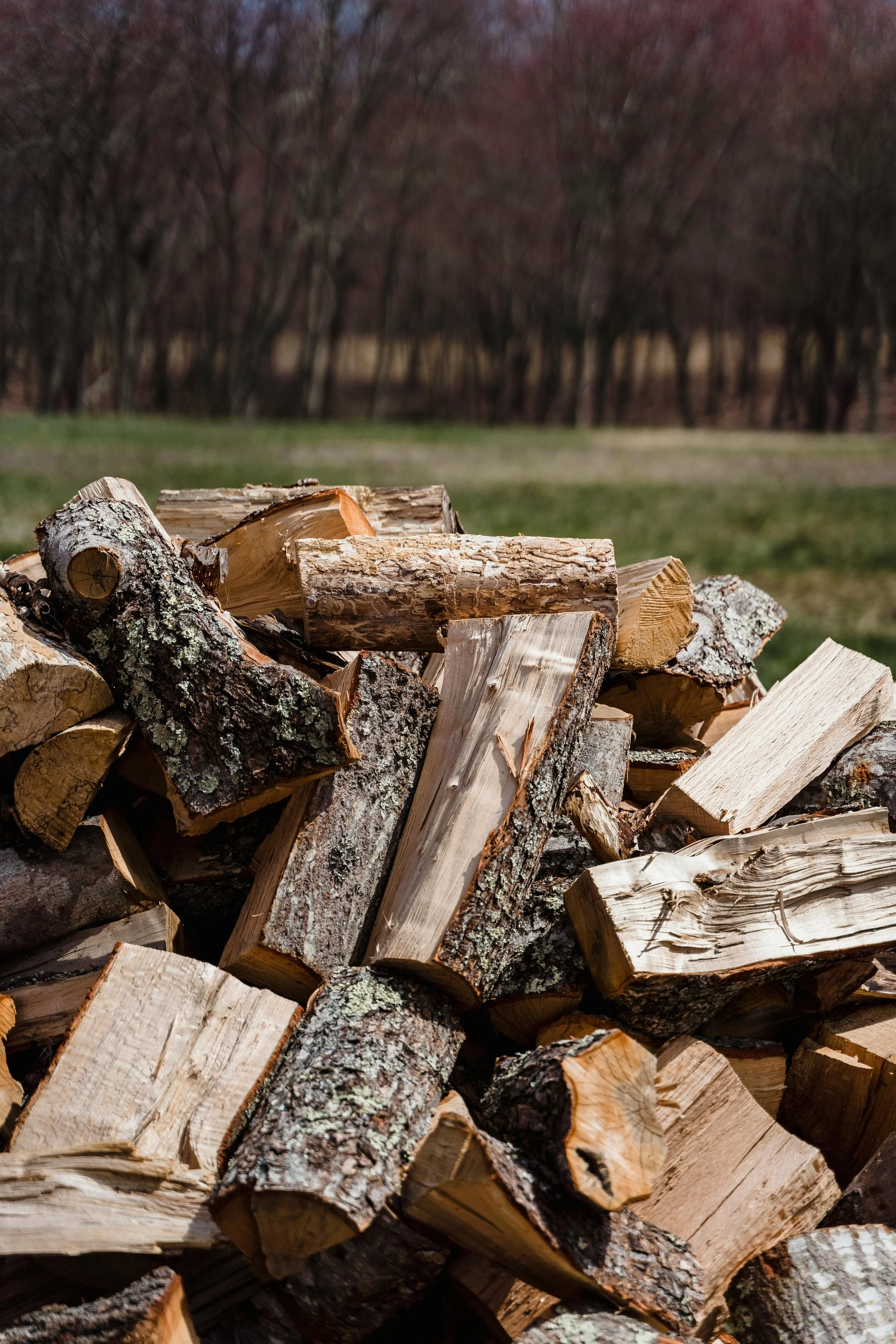 Hardwood Logs
