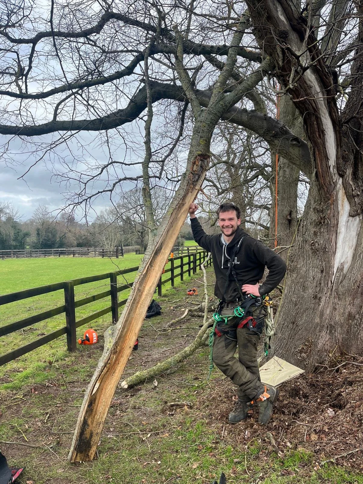 Gus Bishop Tree Services York