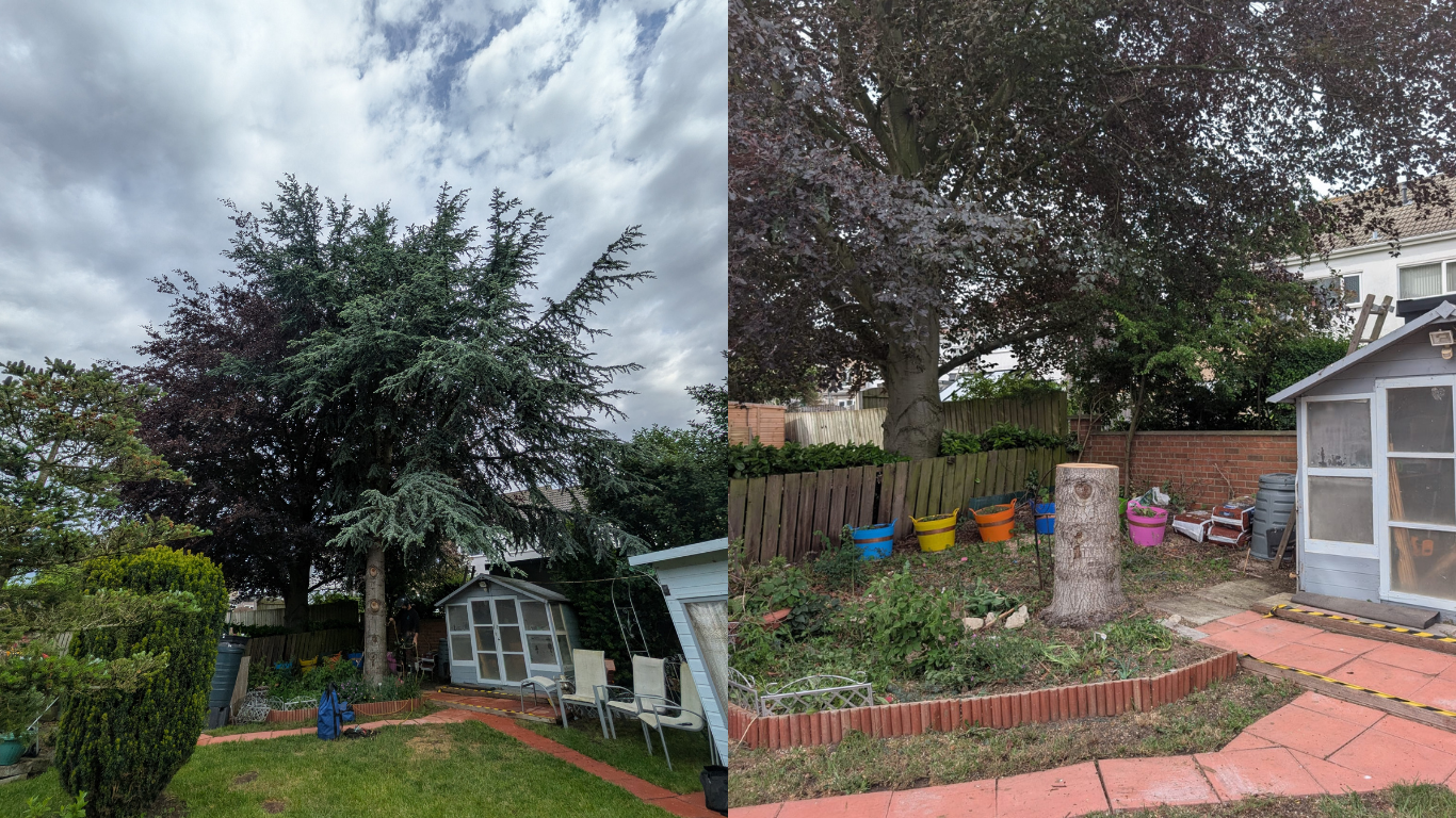 tree removal in pocklington