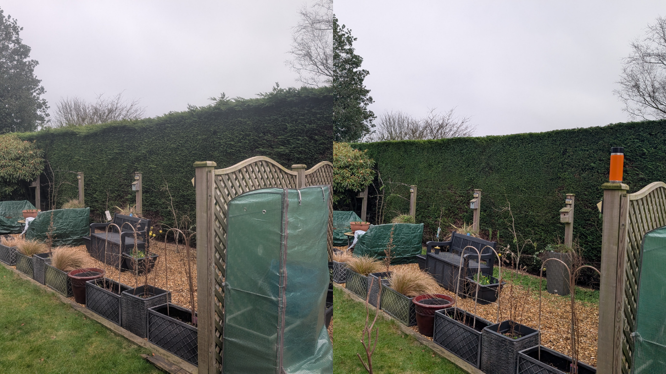 tree maintenance in stamford bridge.png