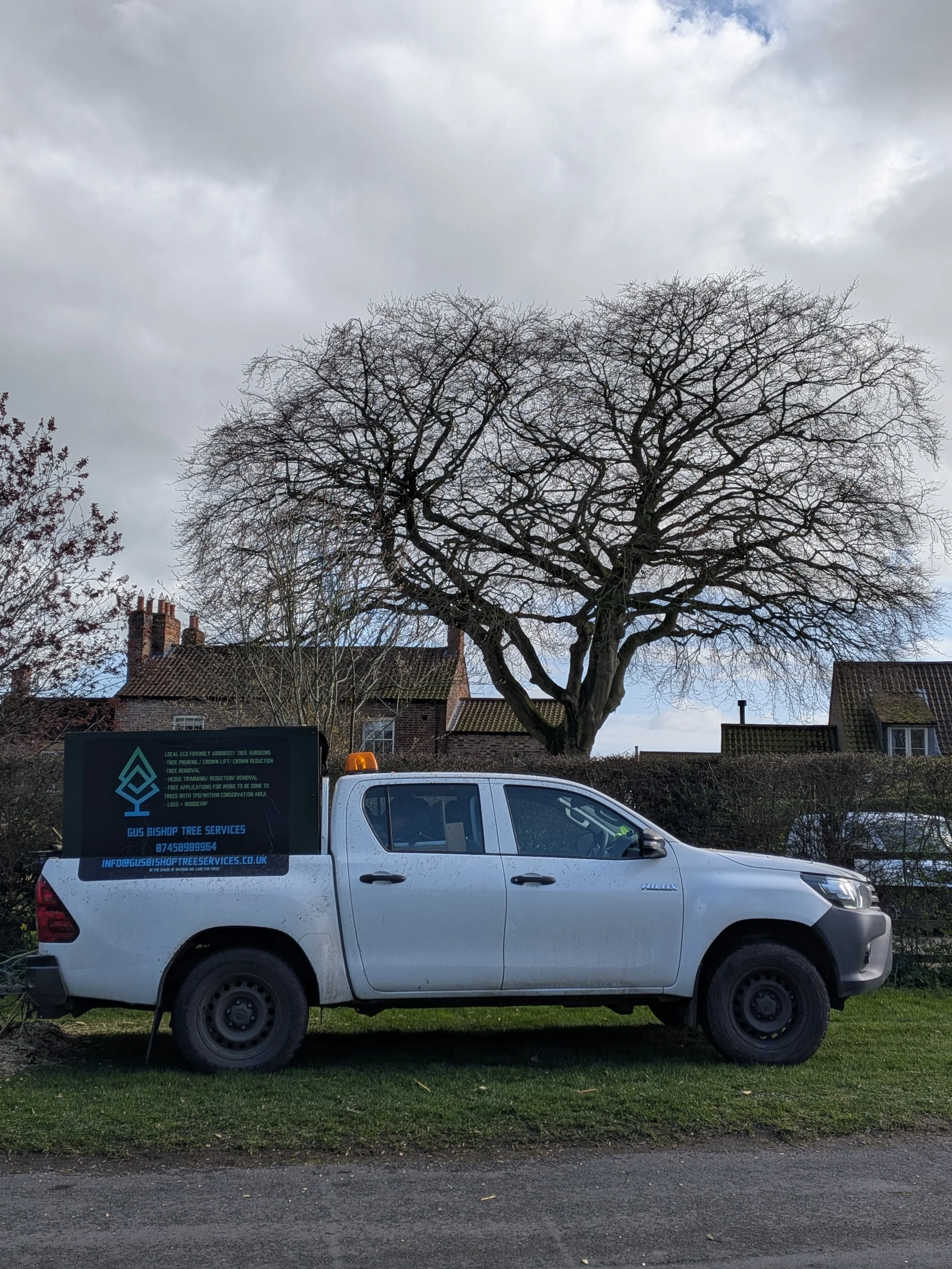 Gus Bishop Tree Services LTD branded truck