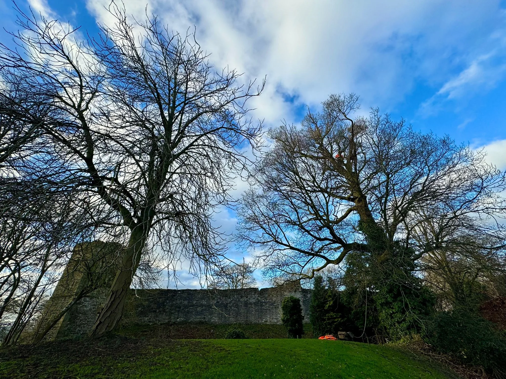 IMG-20240109-WA0012 (1).jpg