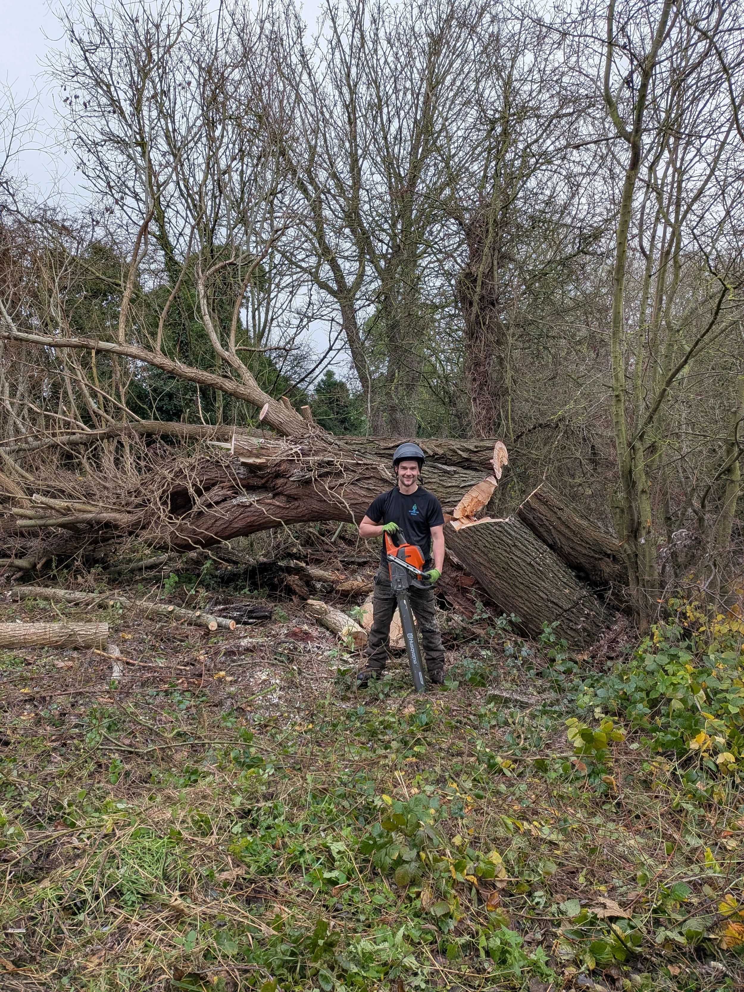Tree Removal Yorkshire Gus Bishop Tree Services