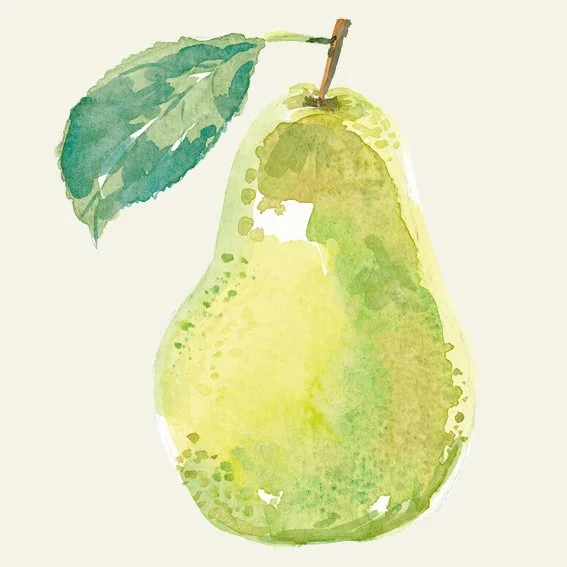 NM_OLMA_Aquarell_Birne_quad.jpg