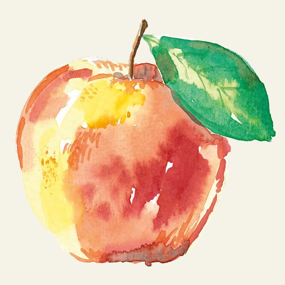 NM_OLMA_Aquarell_Apfel_quad.jpg