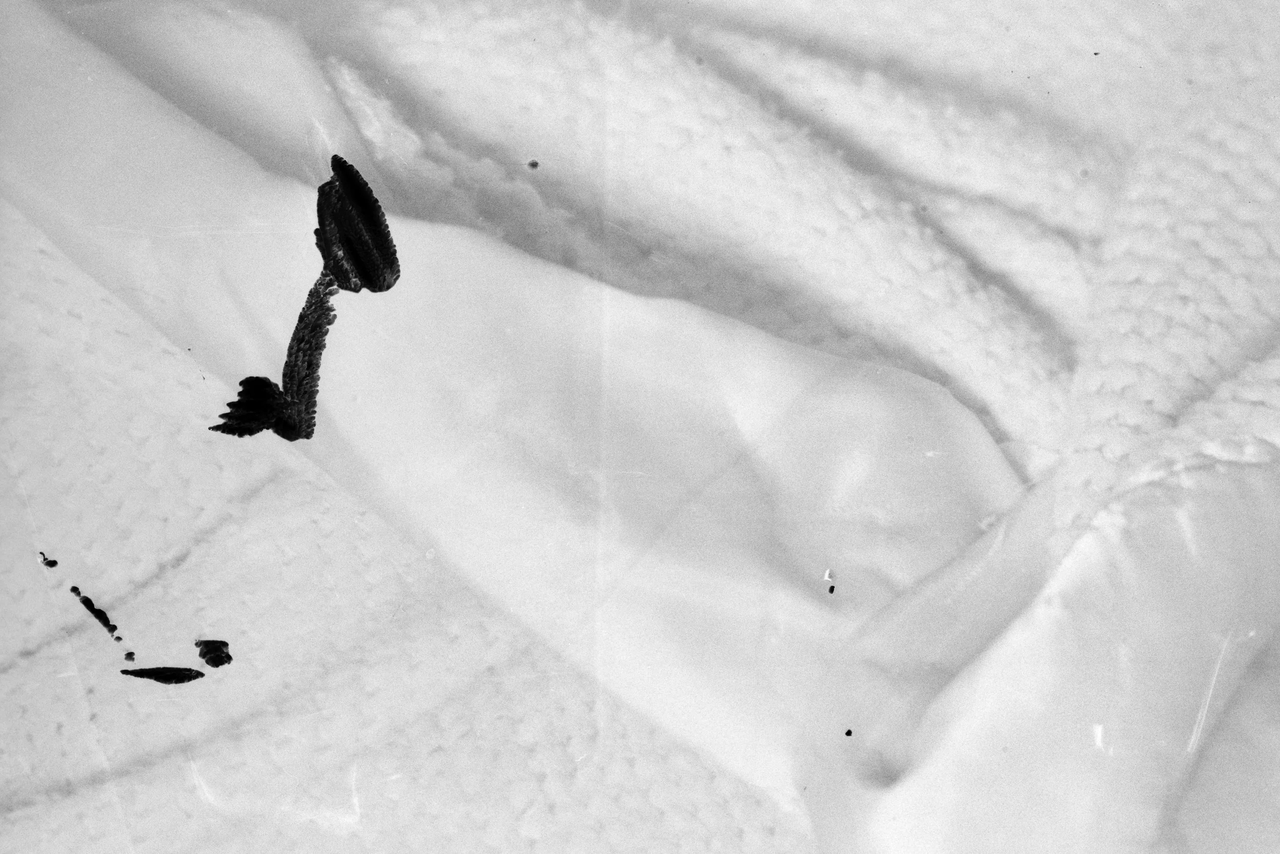 A hazy eco processed black & white 35mm film image shows a light colored knit blanket with a satin edge. The film's emulsion is scratched, seen as black smudges on the image.