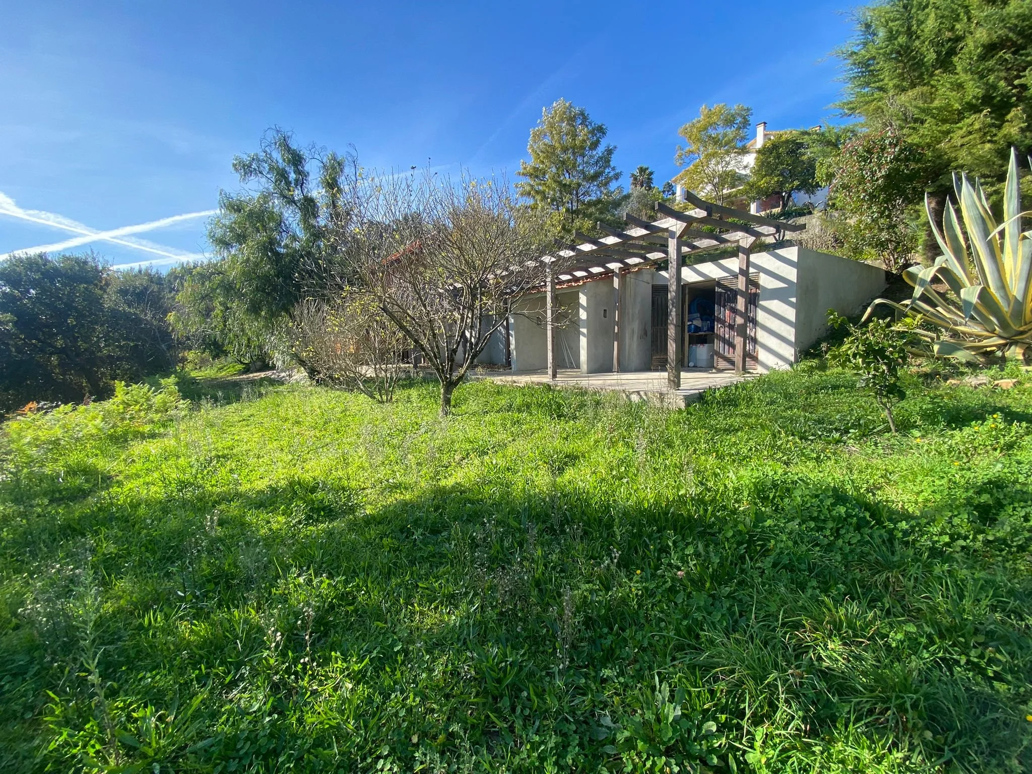 Yoga Shala Ext1.jpeg