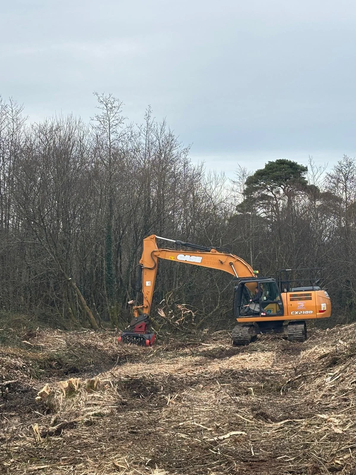 February - Mulching trees in Scartaglen