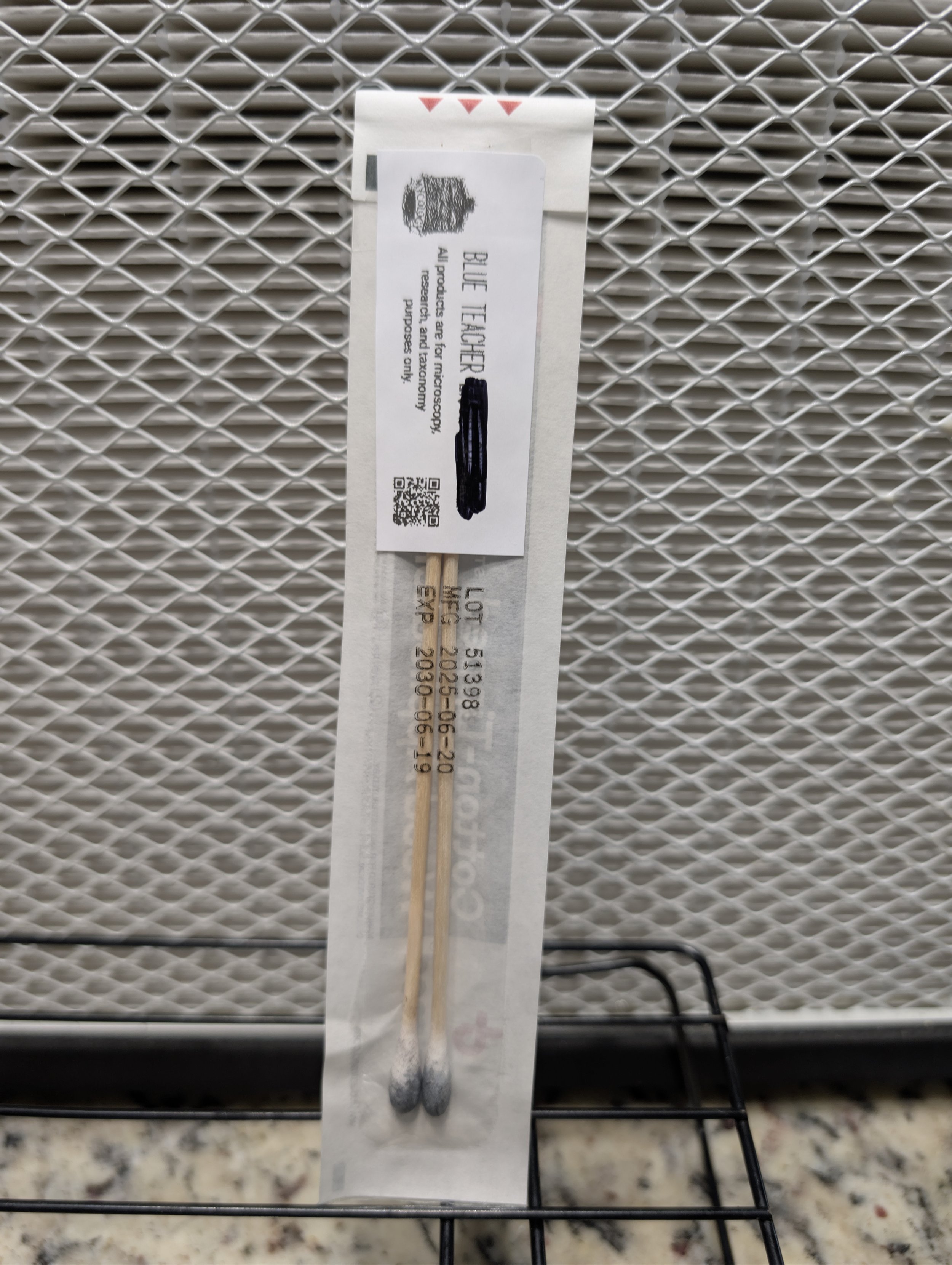 Blue Teacher Spore Swab