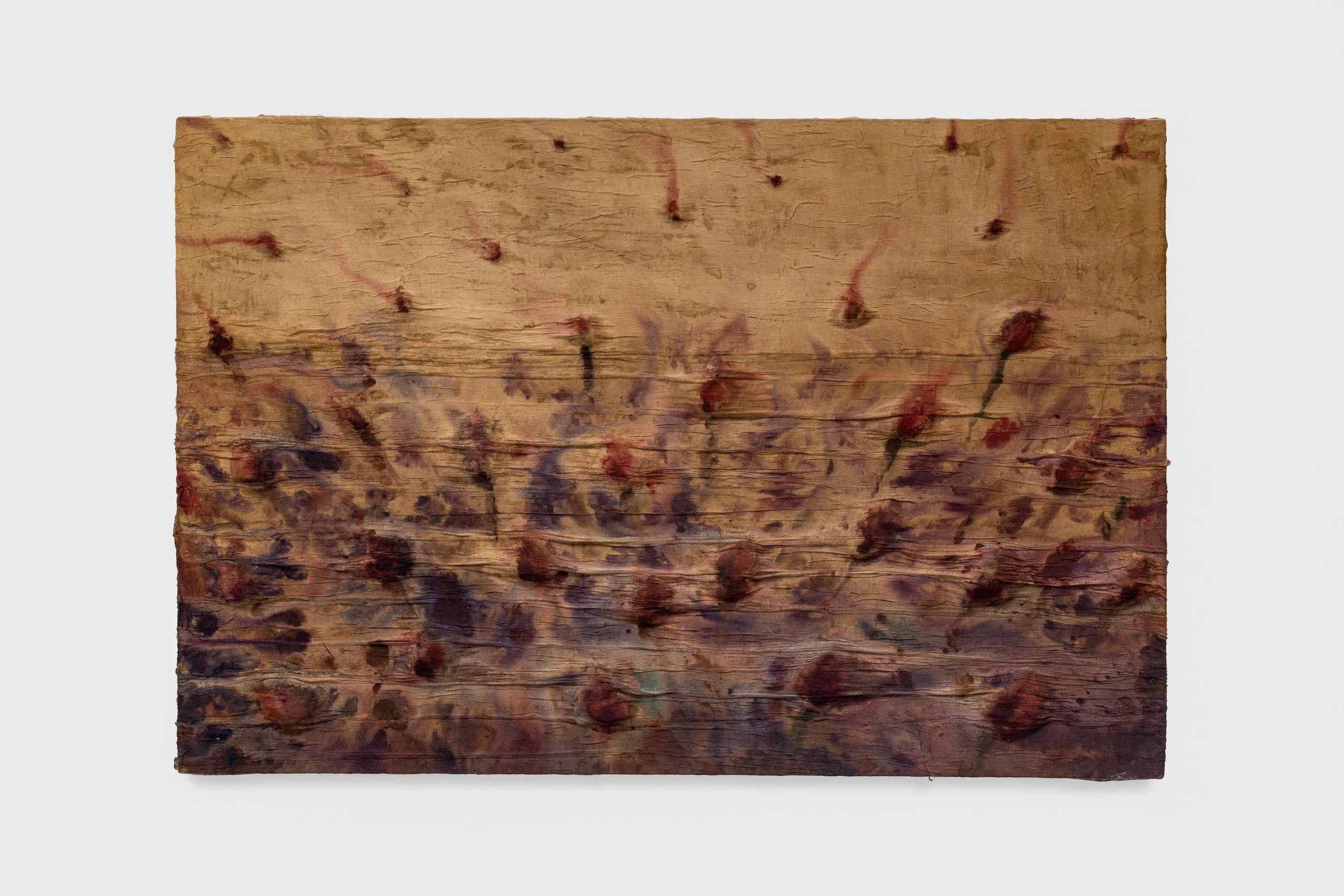 Alexander Carey-Morgan, 'Papaver Field; Lust', 2026, watercolour, coffee, muslin on canvas, 100 x 150cm