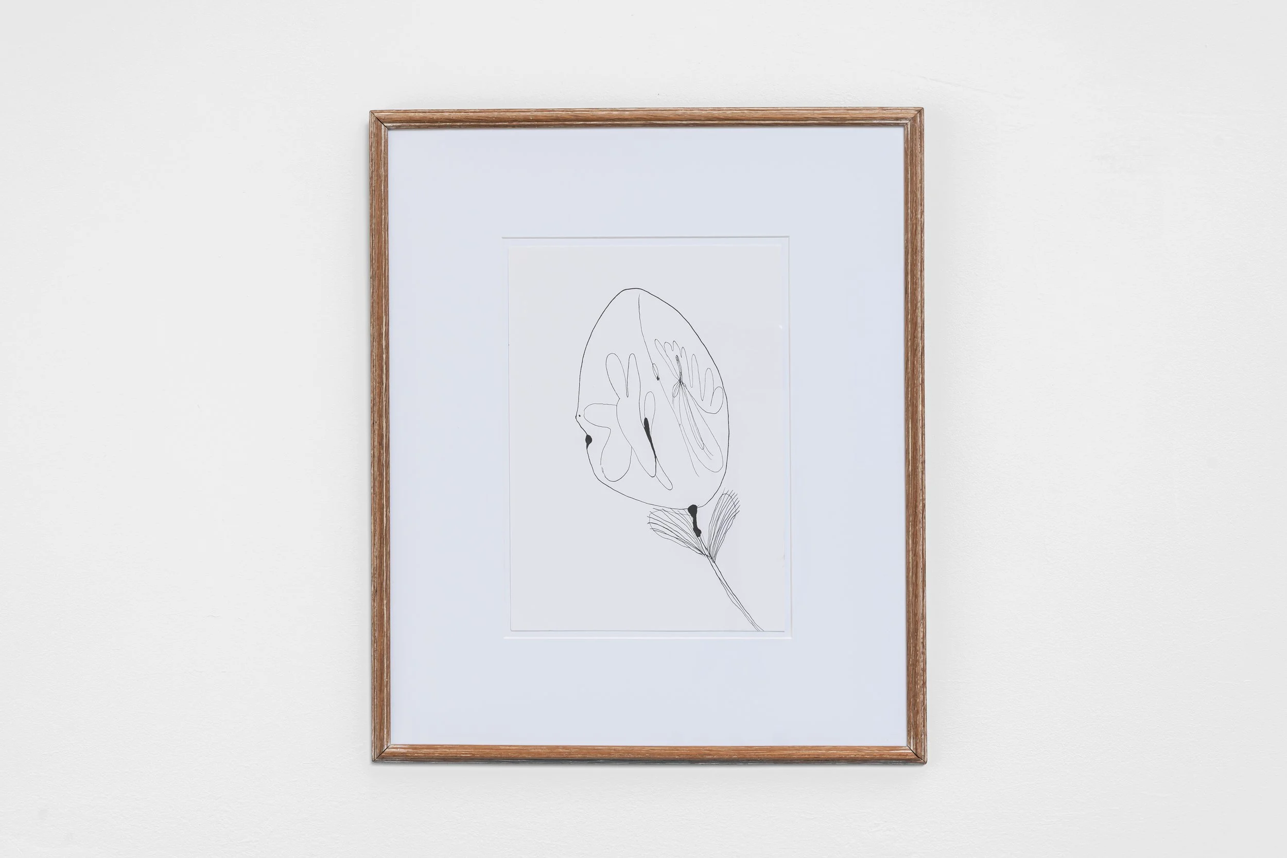 Emily Wilcock, 'Bud', 2026, ink on paper, 50 x 42 (framed)