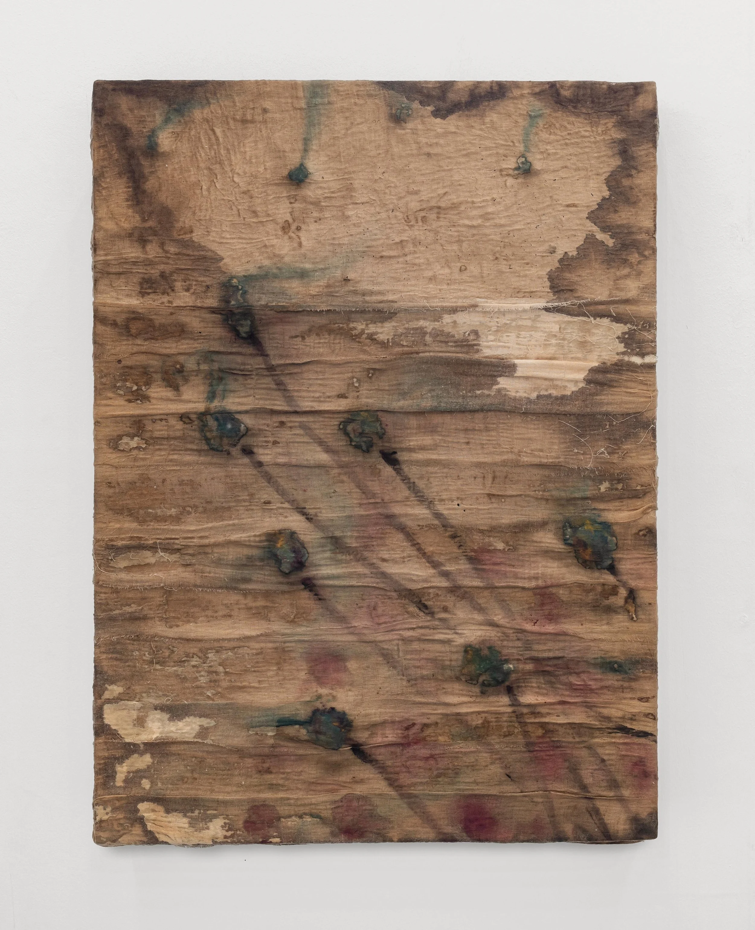 Alexander Carey-Morgan, 'Papaver; Bliss', 2026, watercolour, coffee, muslin on canvas, 69 x 51cm