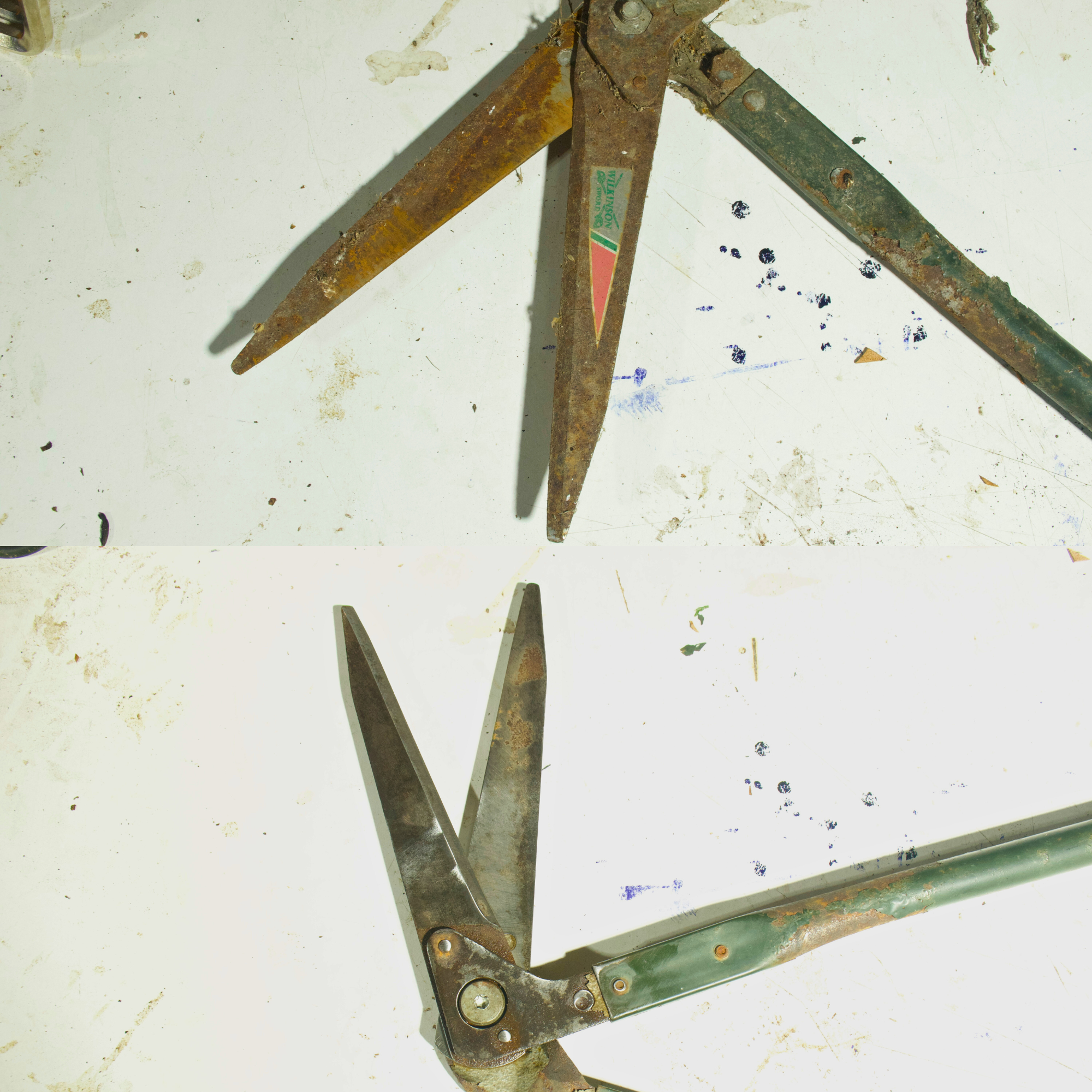 hedge cutters before and after sharpening and rust removal