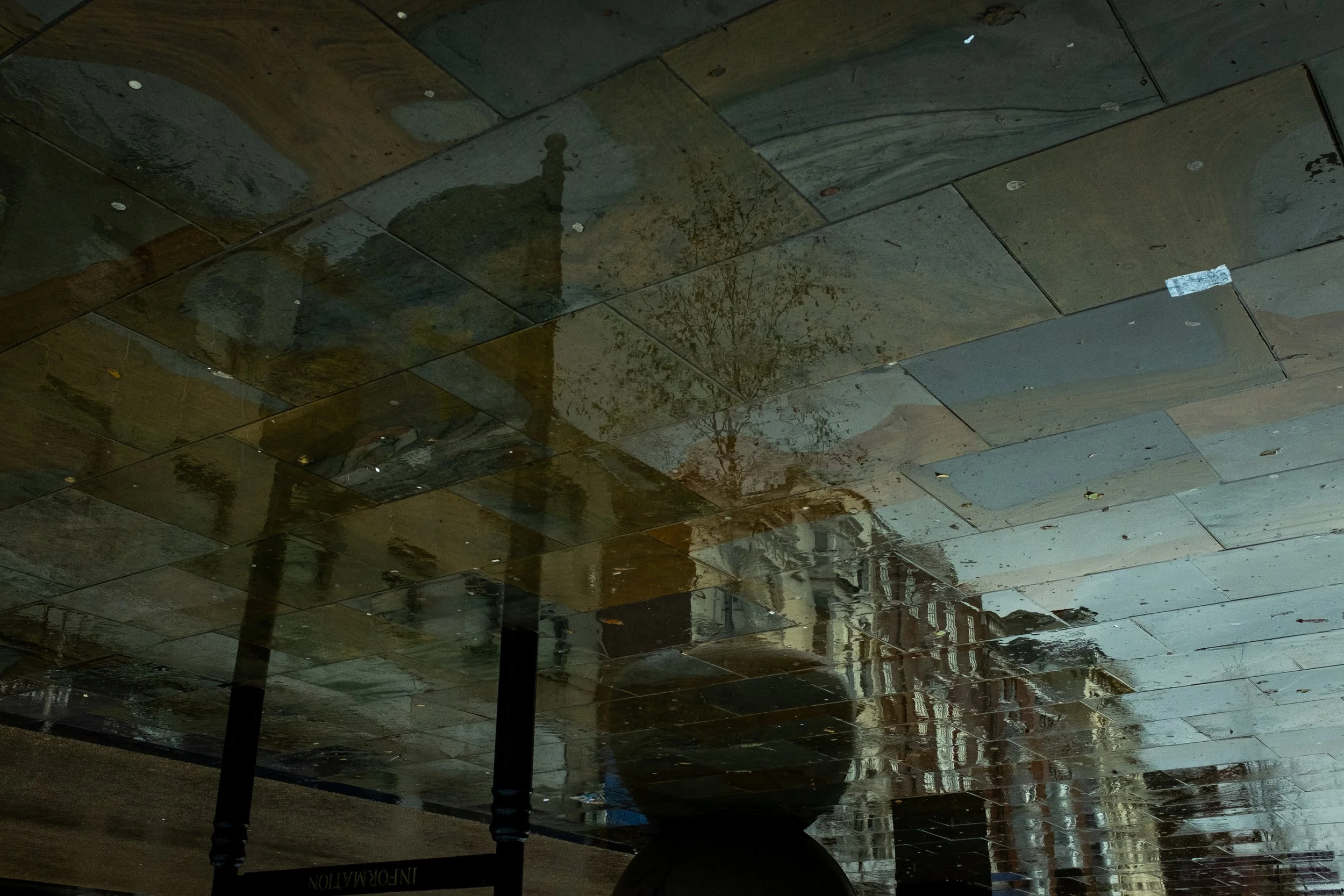 Reflection of trees, a lamp, and a person on wet tiled floor.