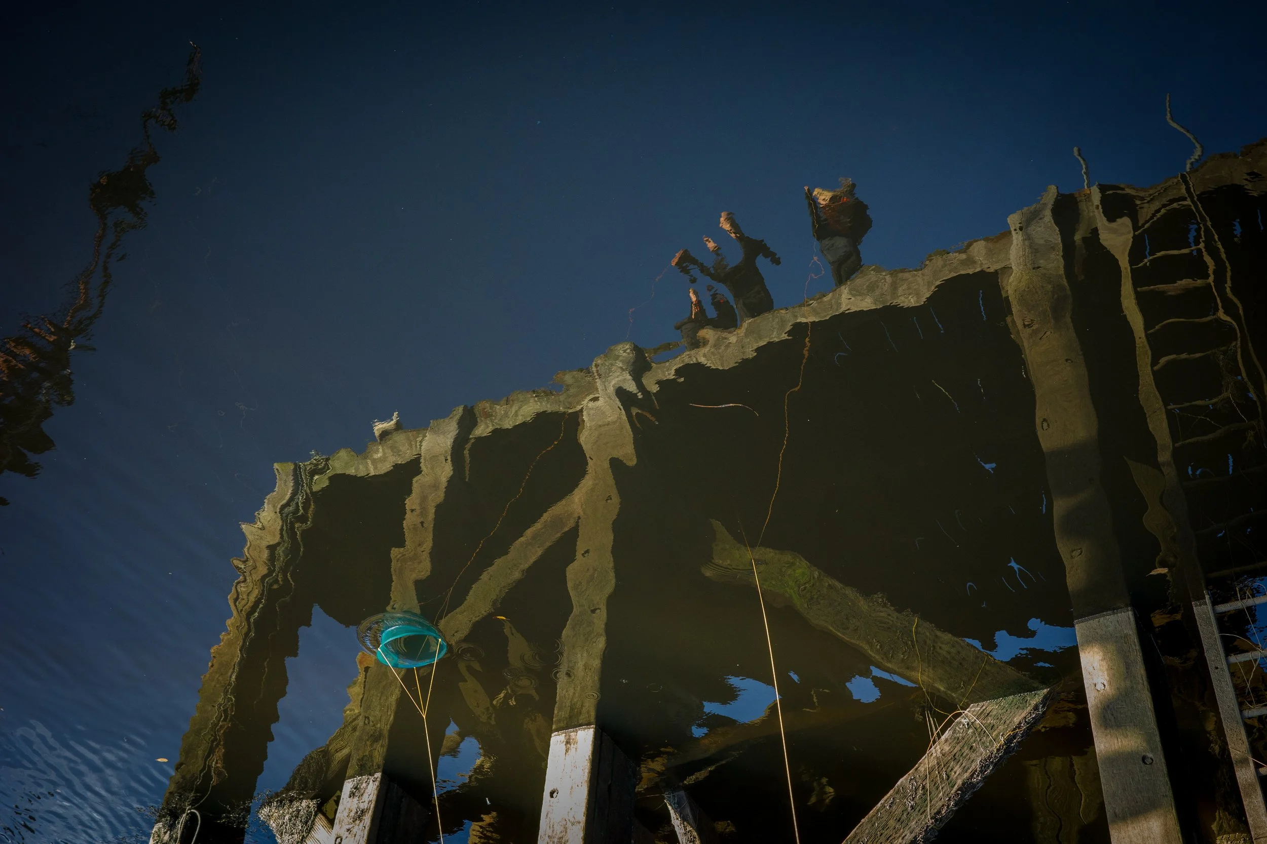 Reflection of a wooden pier in the water with some objects, including a blue circular marker, floating nearby.
