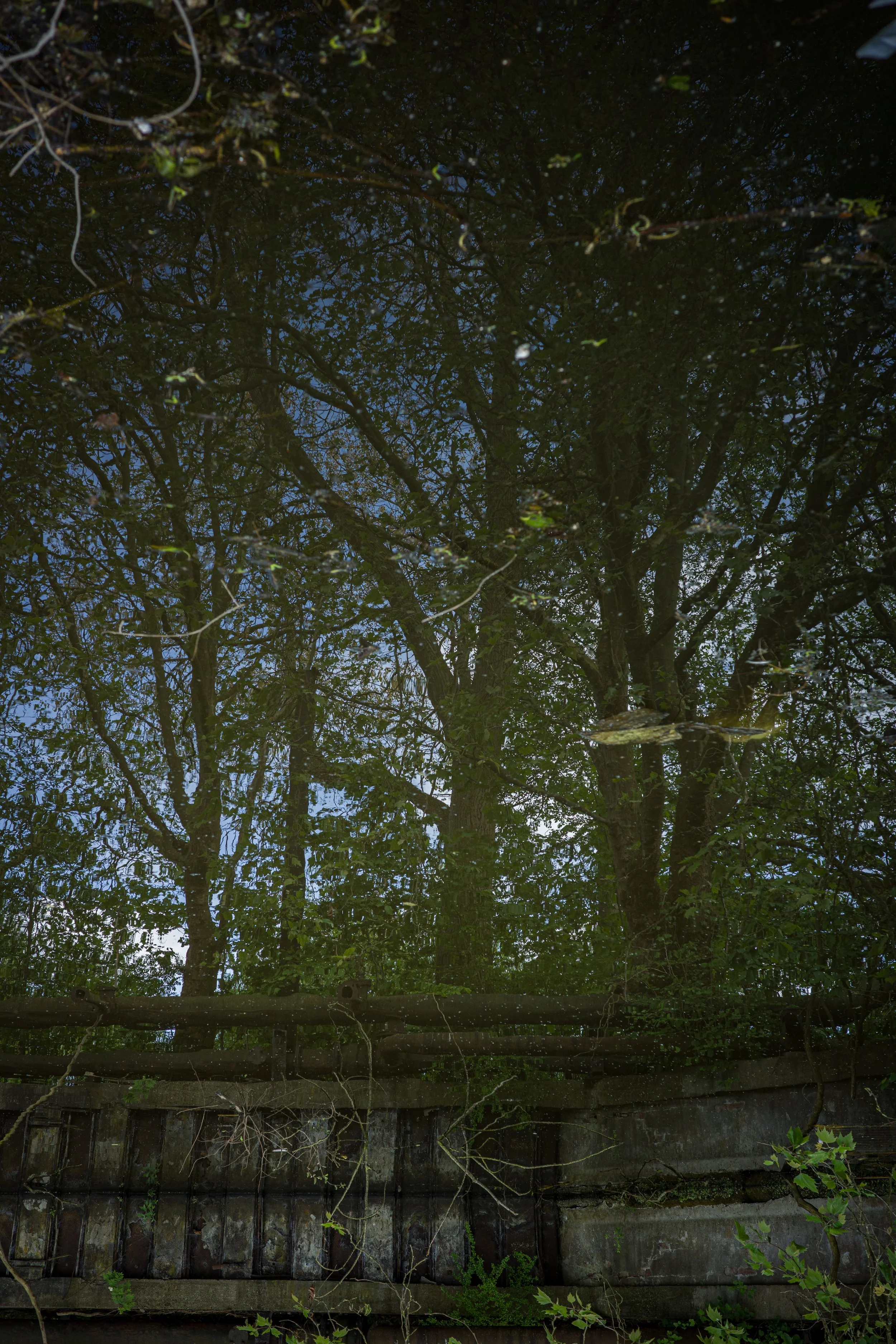 STHELENS0526-26.jpg