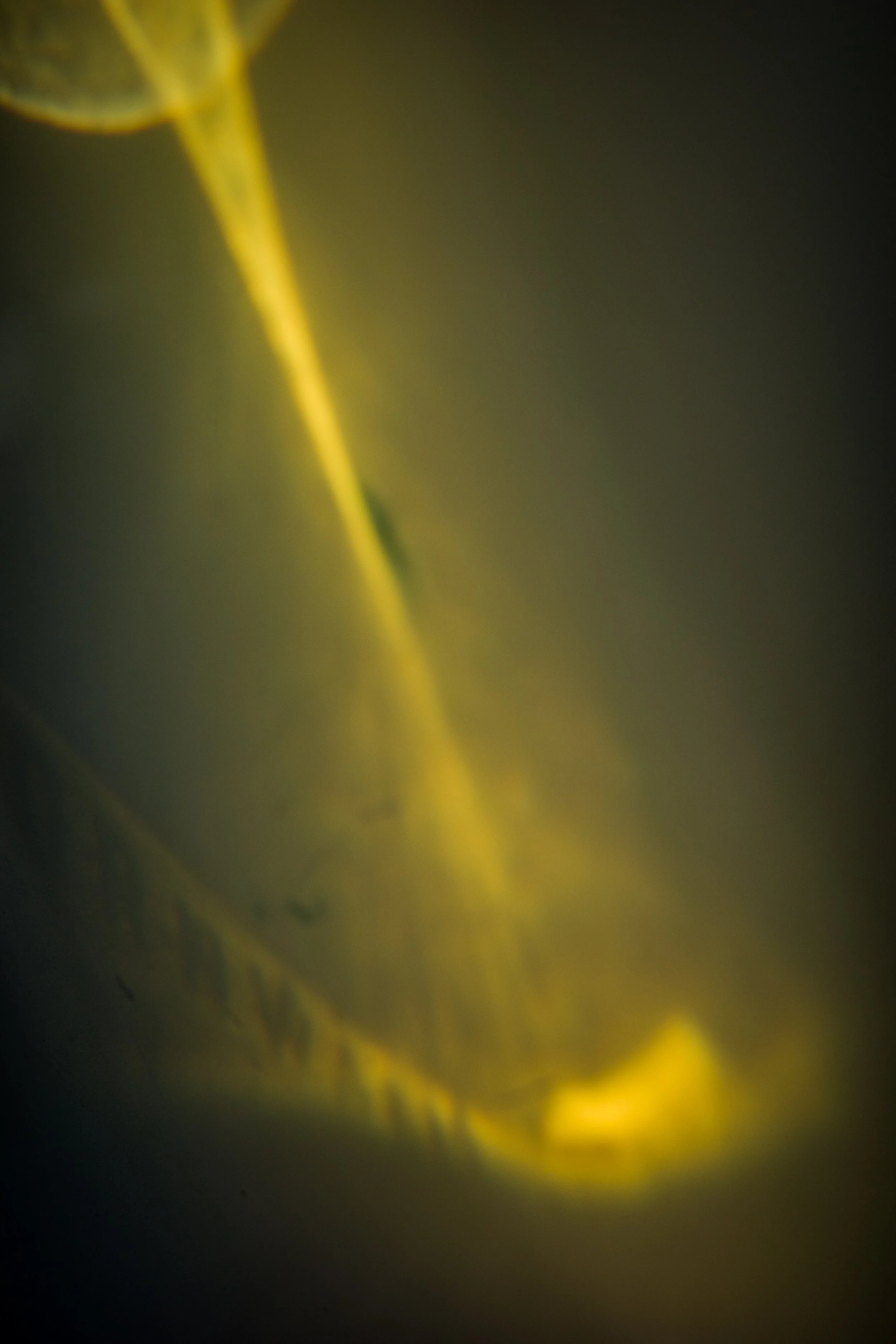 BAGBITS0426-4.jpg