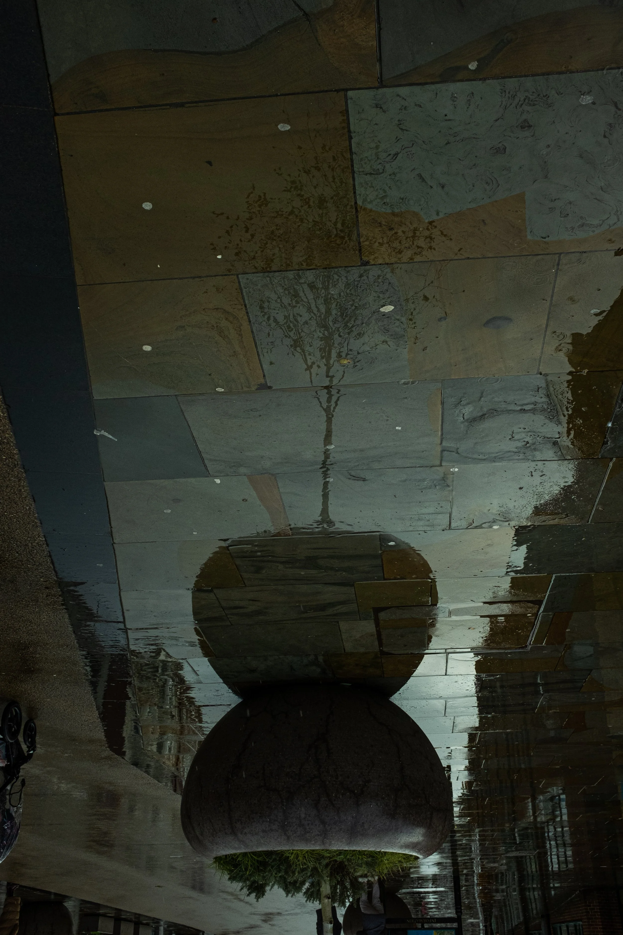 Reflection of a tree in a wet, tiled sidewalk with a large, spherical stone sculpture in the foreground.