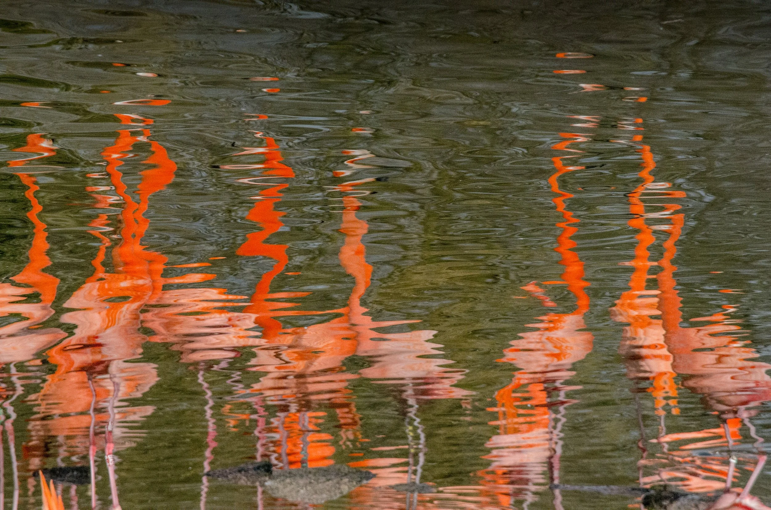 Reflections of orange objects and thin vertical lines on the surface of water with some rocks at the bottom.
