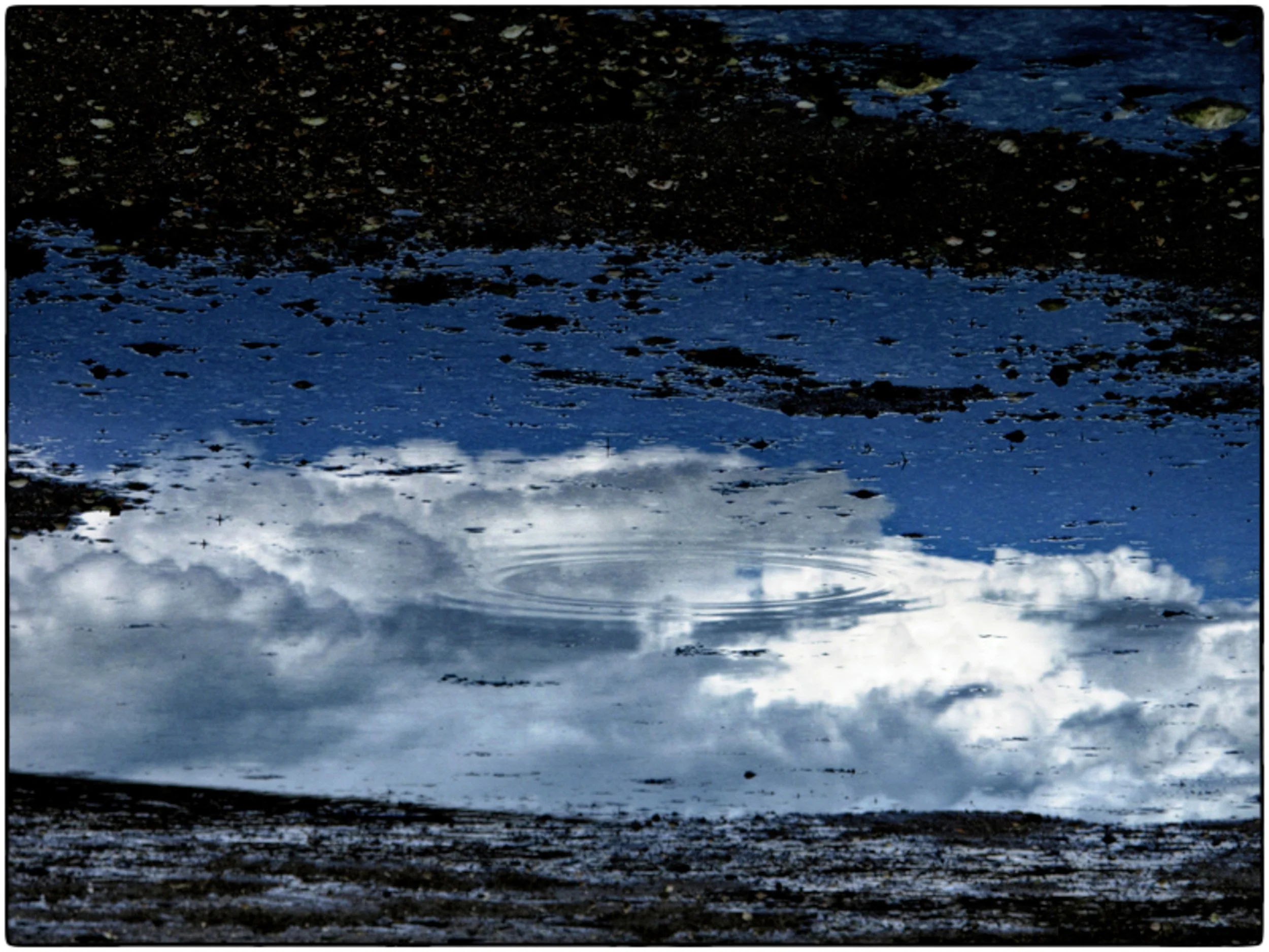 Reflection of cloudy sky on a muddy puddle, with ripples in the water.
