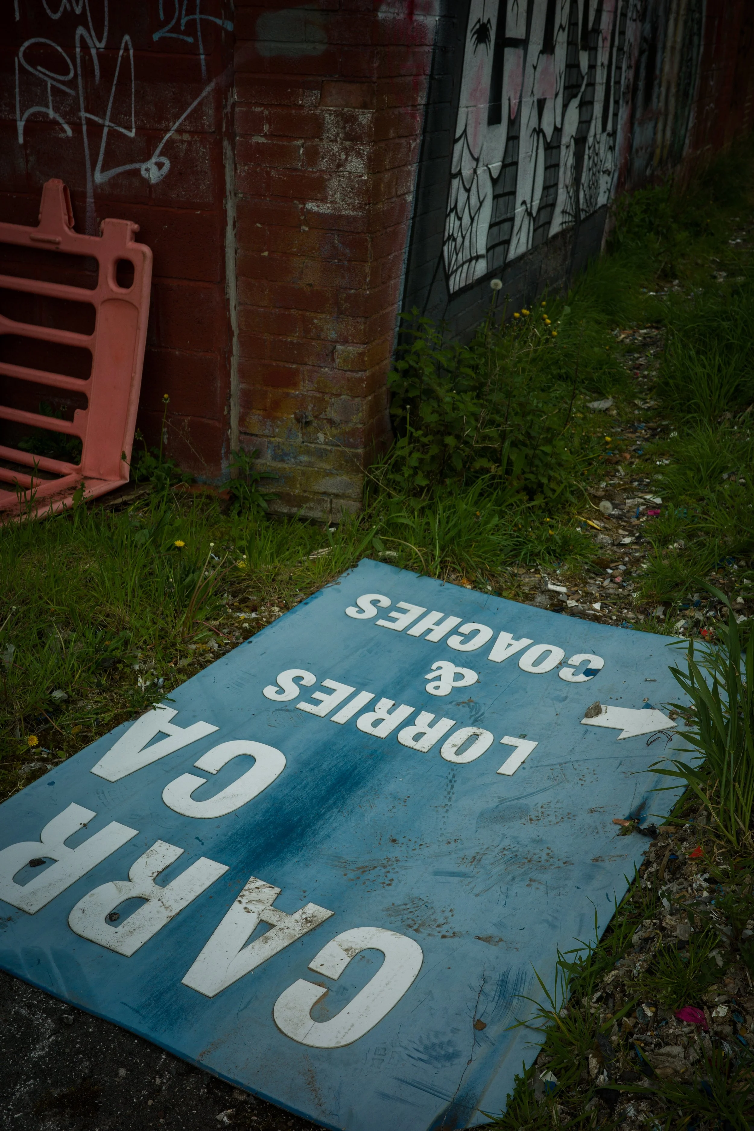 STHELENS0526-36.jpg