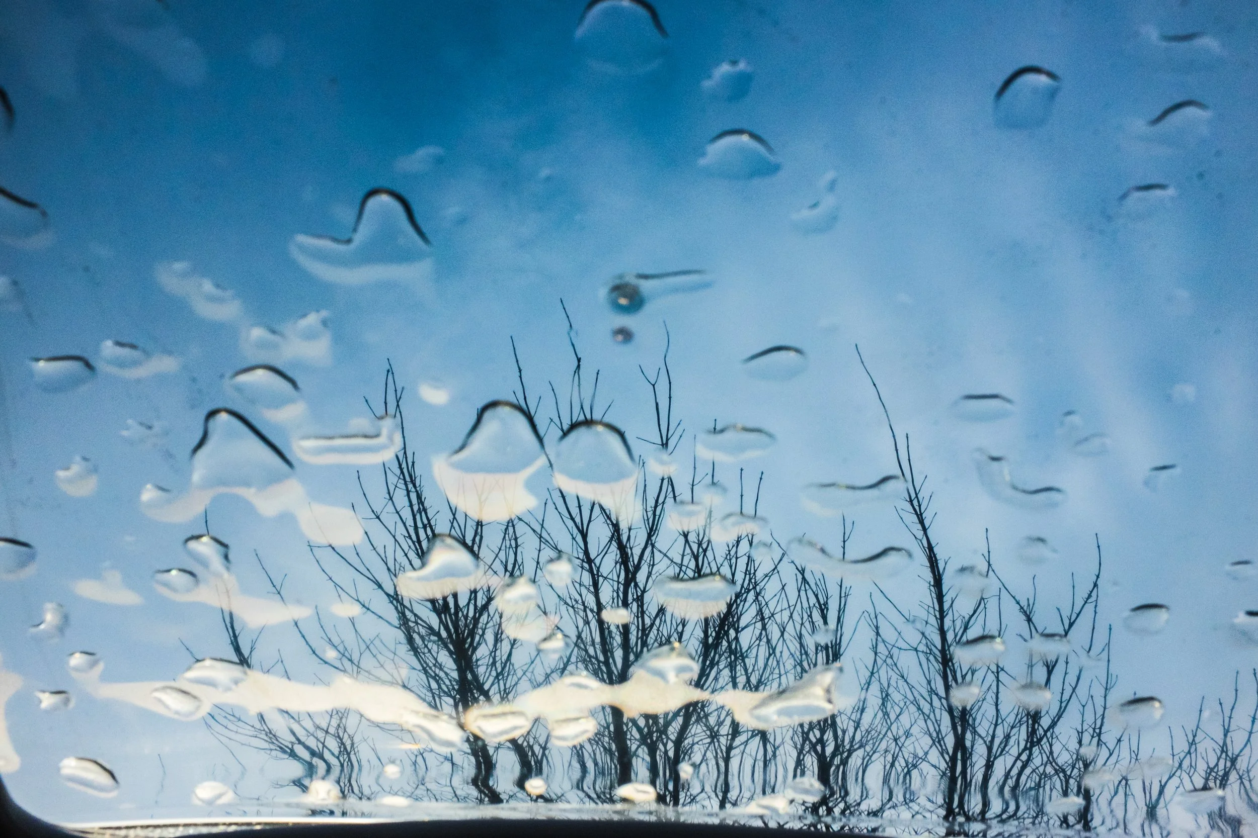 BAGAbstracts00040.jpg