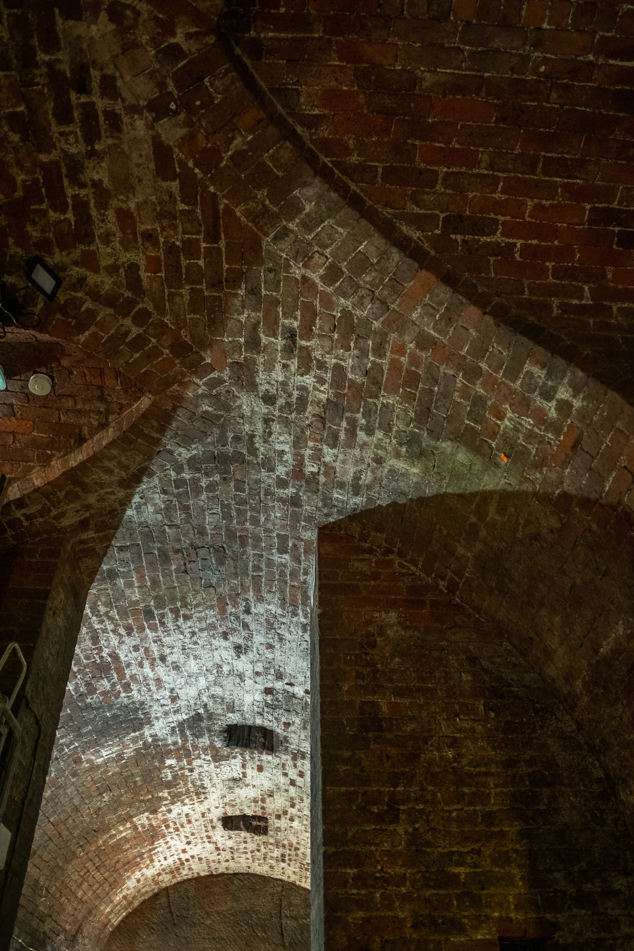 WILLIAMSONTUNNELS-26.jpg