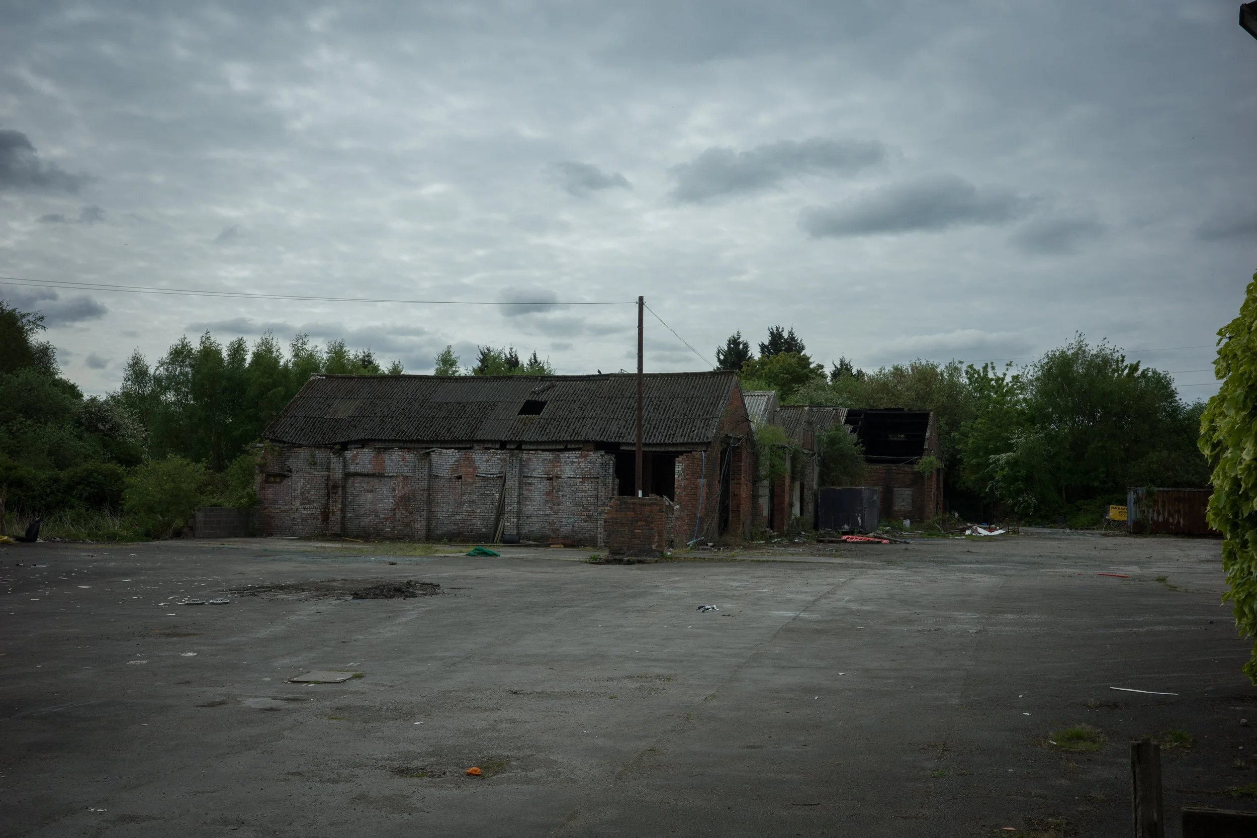 STHELENS0526-41.jpg