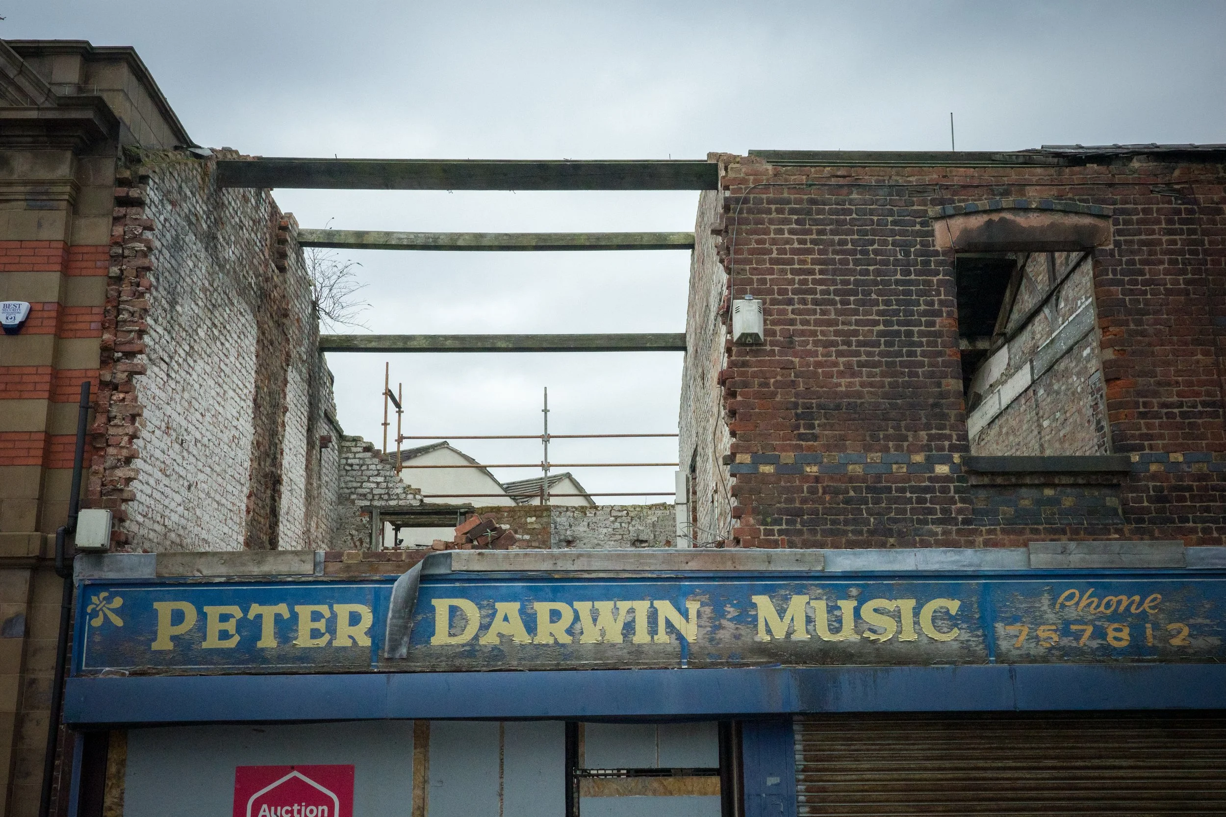 BAG_STHELENS-4.jpg