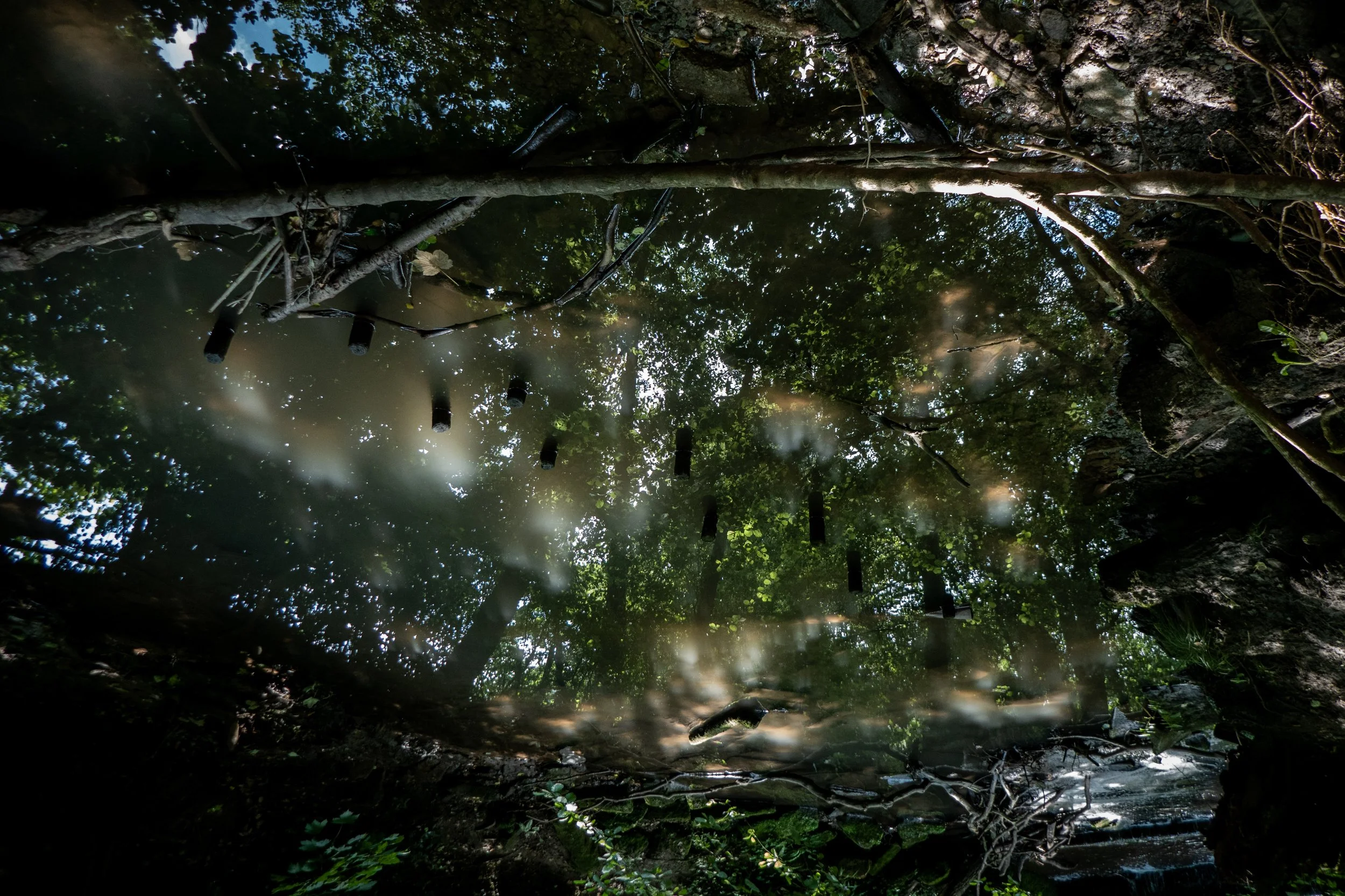 A reflective pond surrounded by trees and branches in a forest, with onlookers' reflections visible on the water surface.