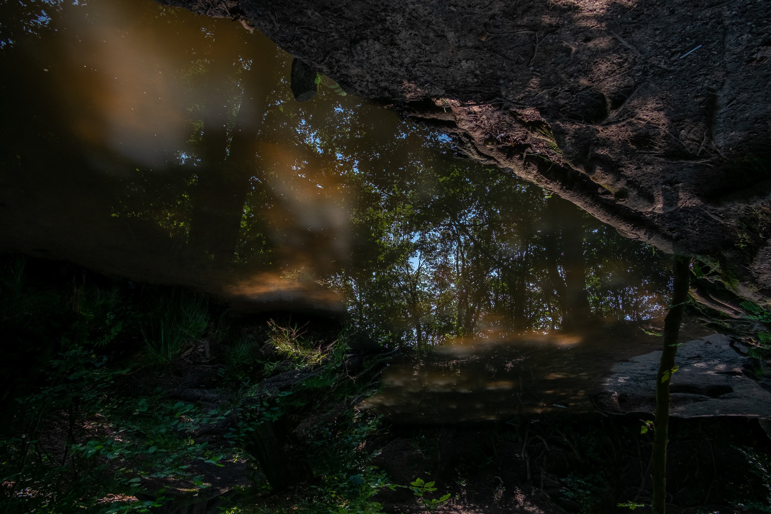 Reflection of trees and sky in a calm body of water, with surrounding rocks and greenery visible.