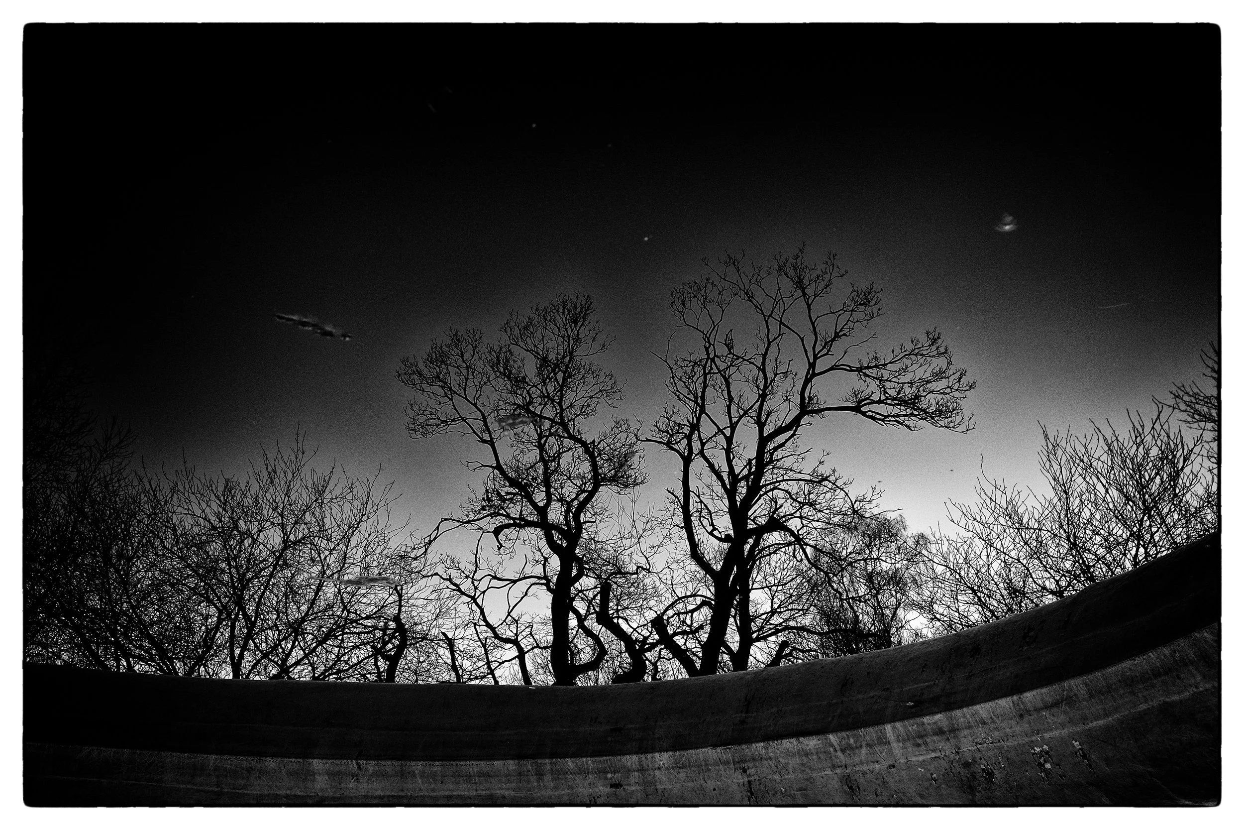 Black and white image of leafless trees against a dark sky with visible stars and clouds, foreground with a curved surface.