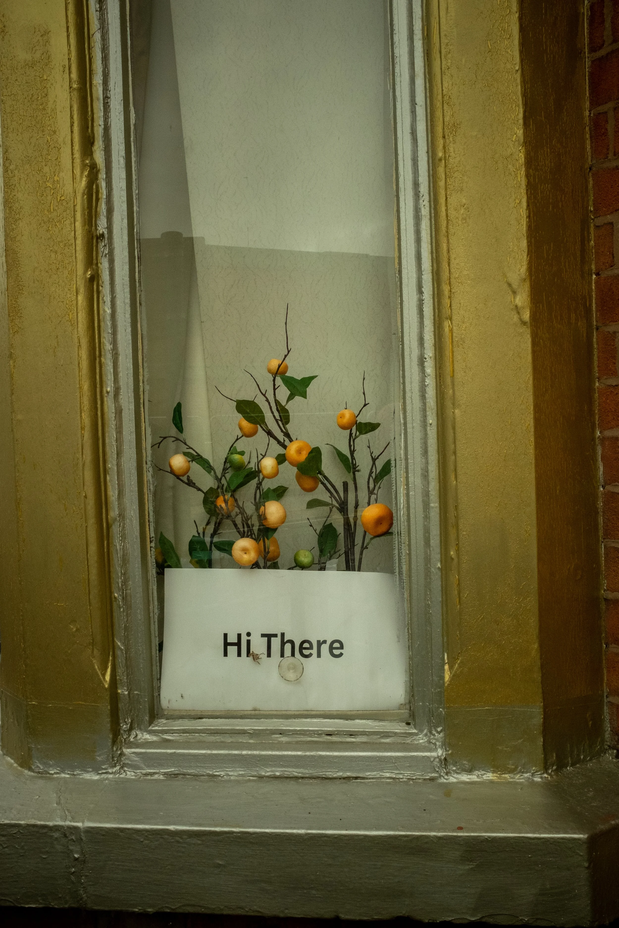 BARRYGOREURBEX-18.jpg