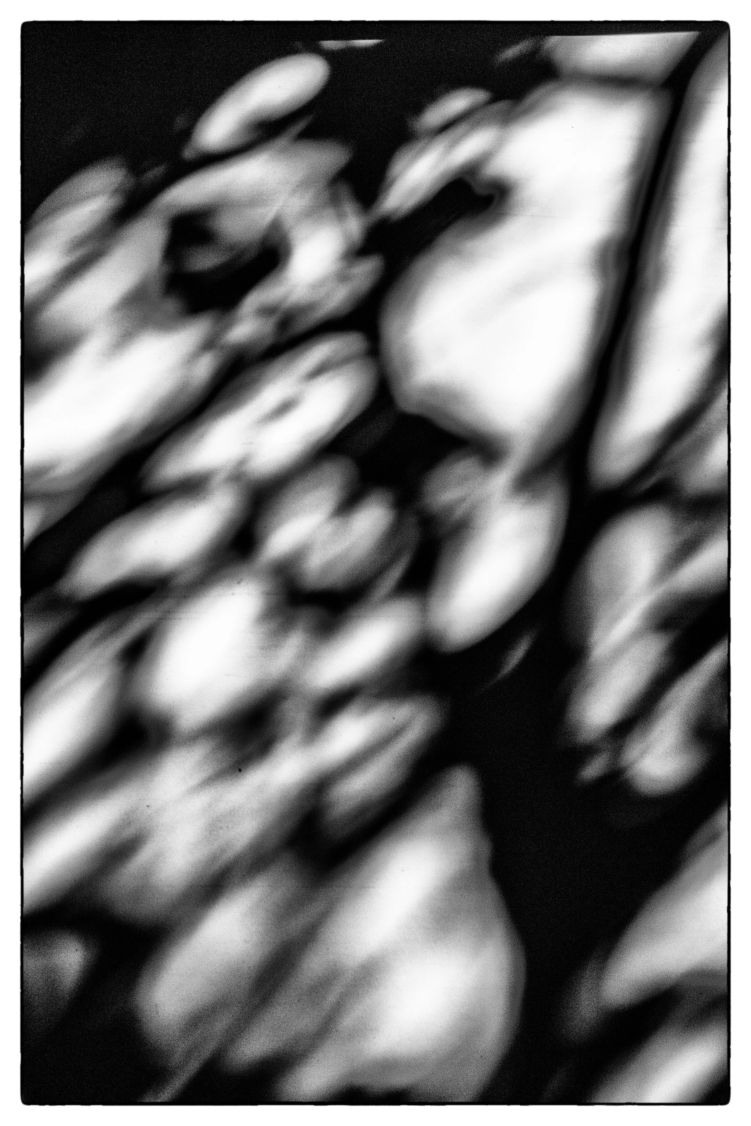 BAGAbstracts00052.jpg