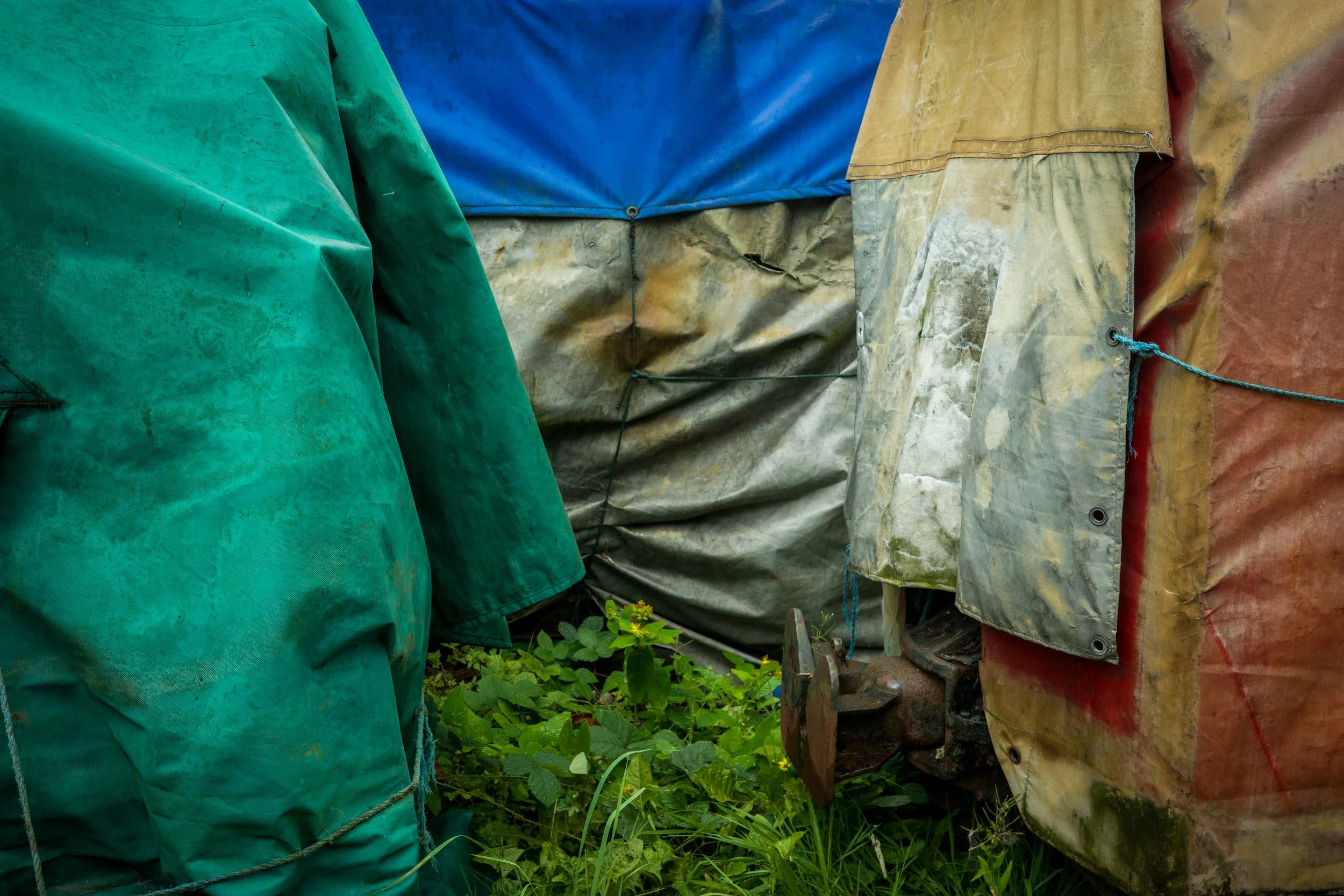 Close-up of weathered, colorful tarps or tents, with green, blue, yellow, and red material, tied with ropes, covering objects on uneven ground surrounded by grass and small plants.