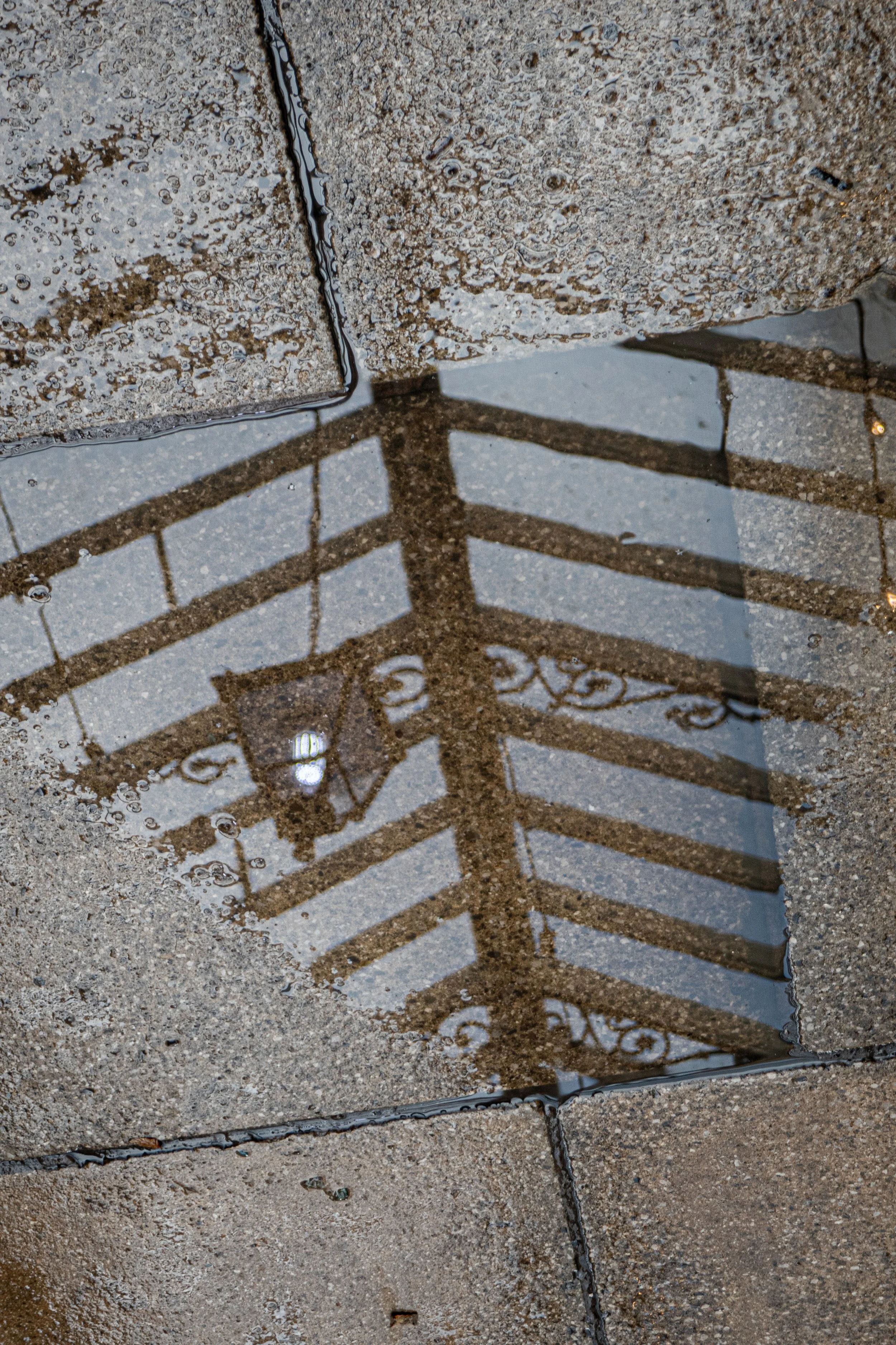 Reflection of a railing in a puddle on a paved surface.