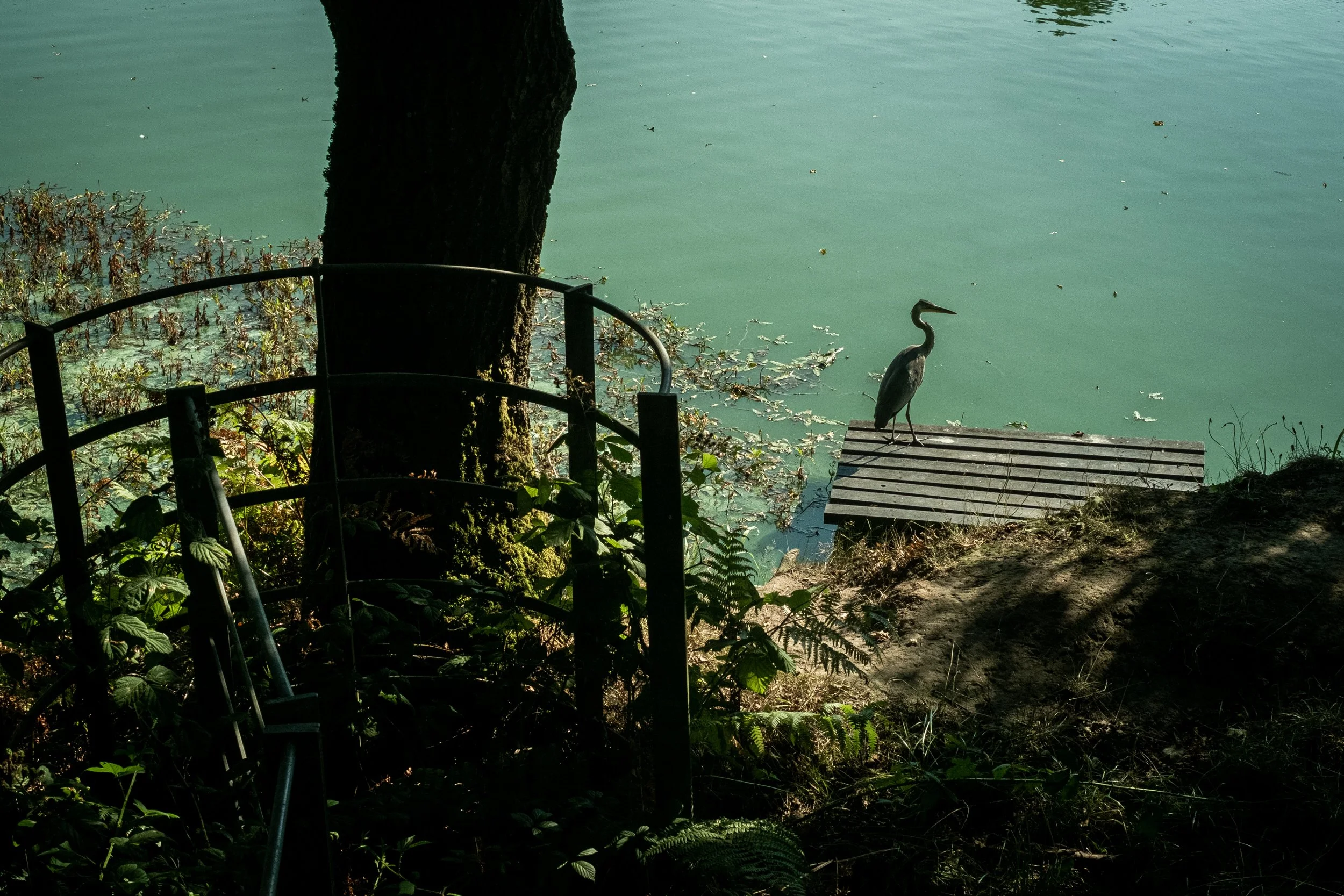 BAGPHOTOGRAPHY-1-35.jpg