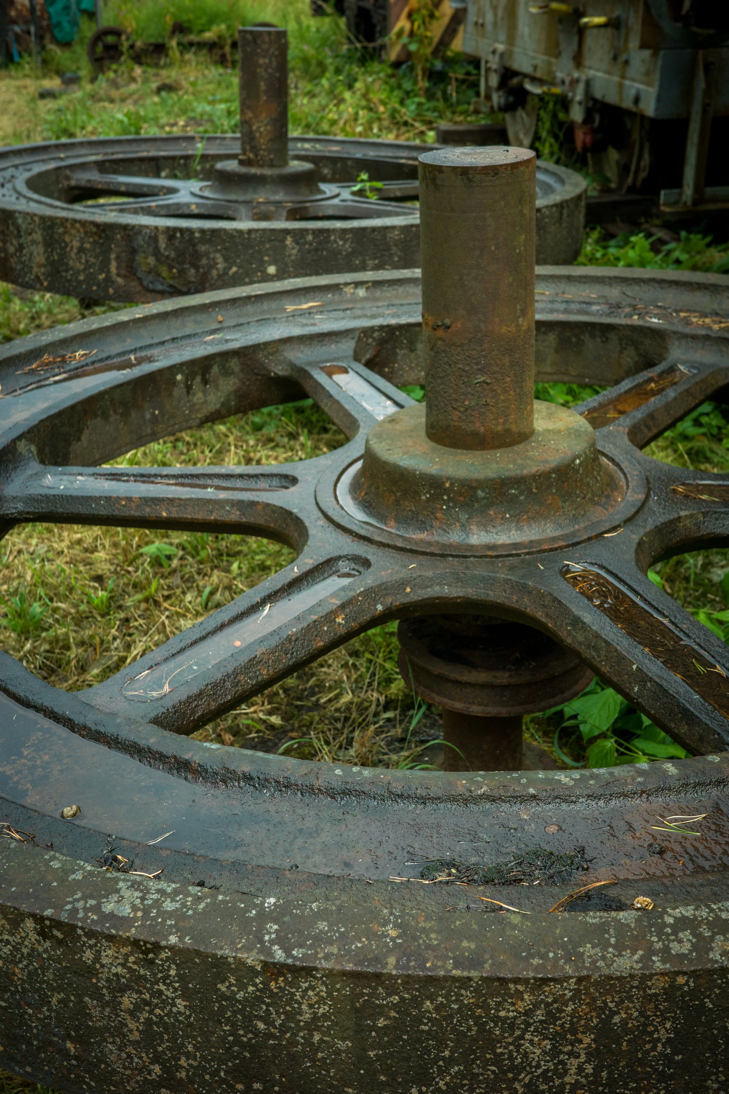 Close-up of a rusty, old metal wagon wheel with a central hub and spokes, lying on grass with patches of moss and dirt, in an outdoor yard