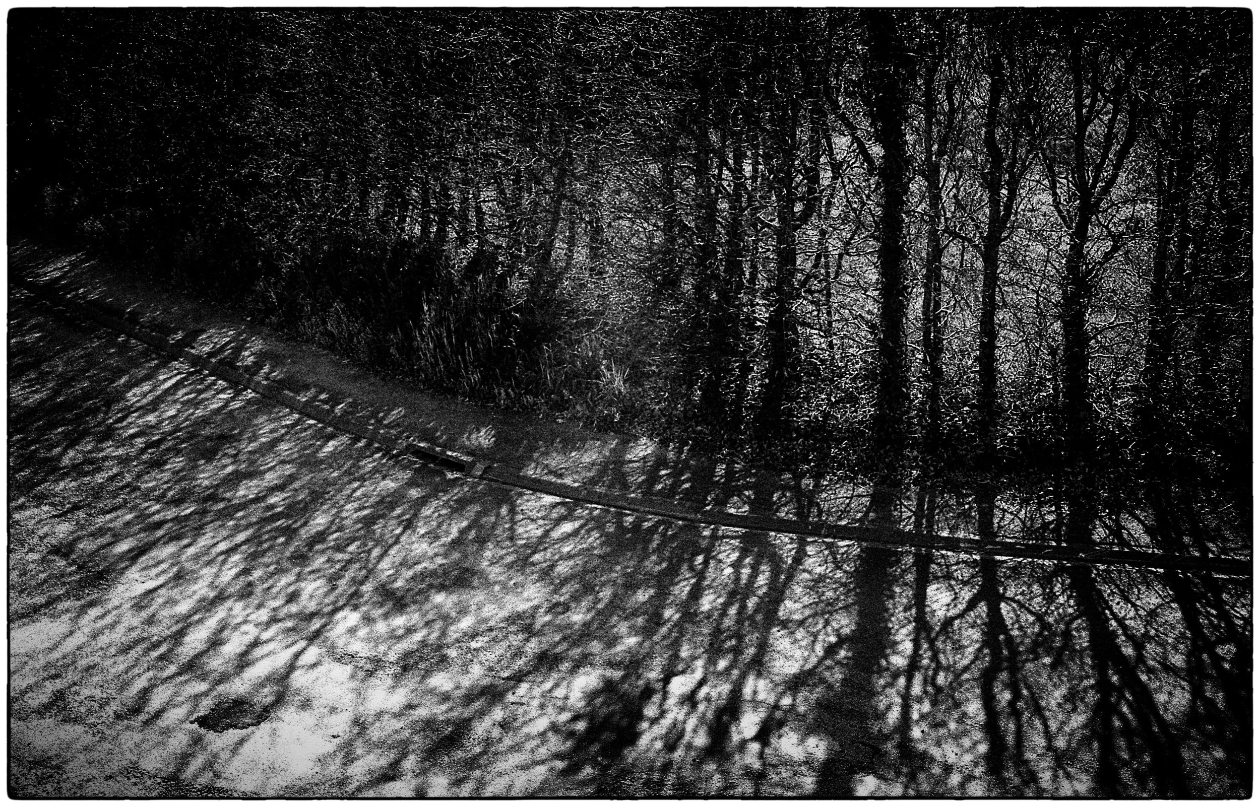 BAGAbstracts00056.jpg
