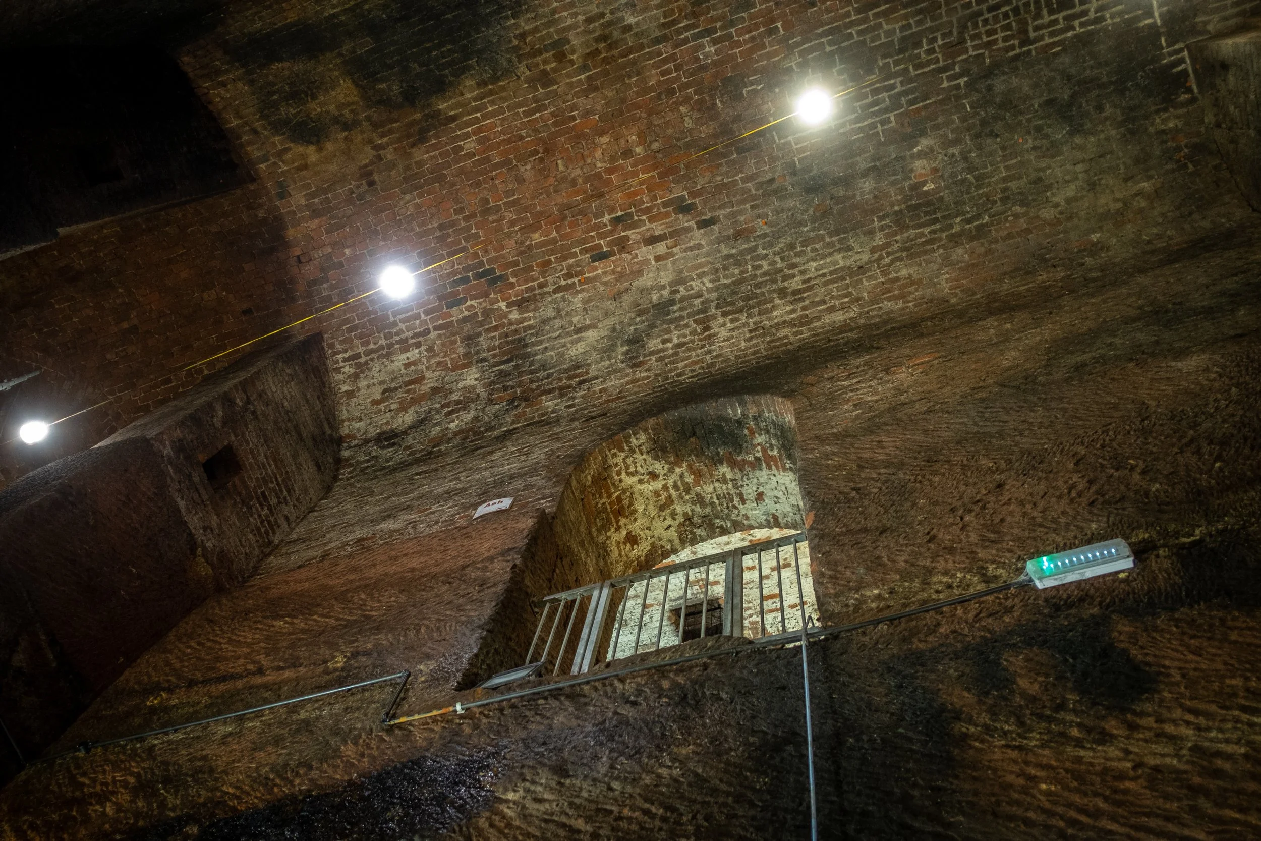 WILLIAMSONTUNNELS-36.jpg