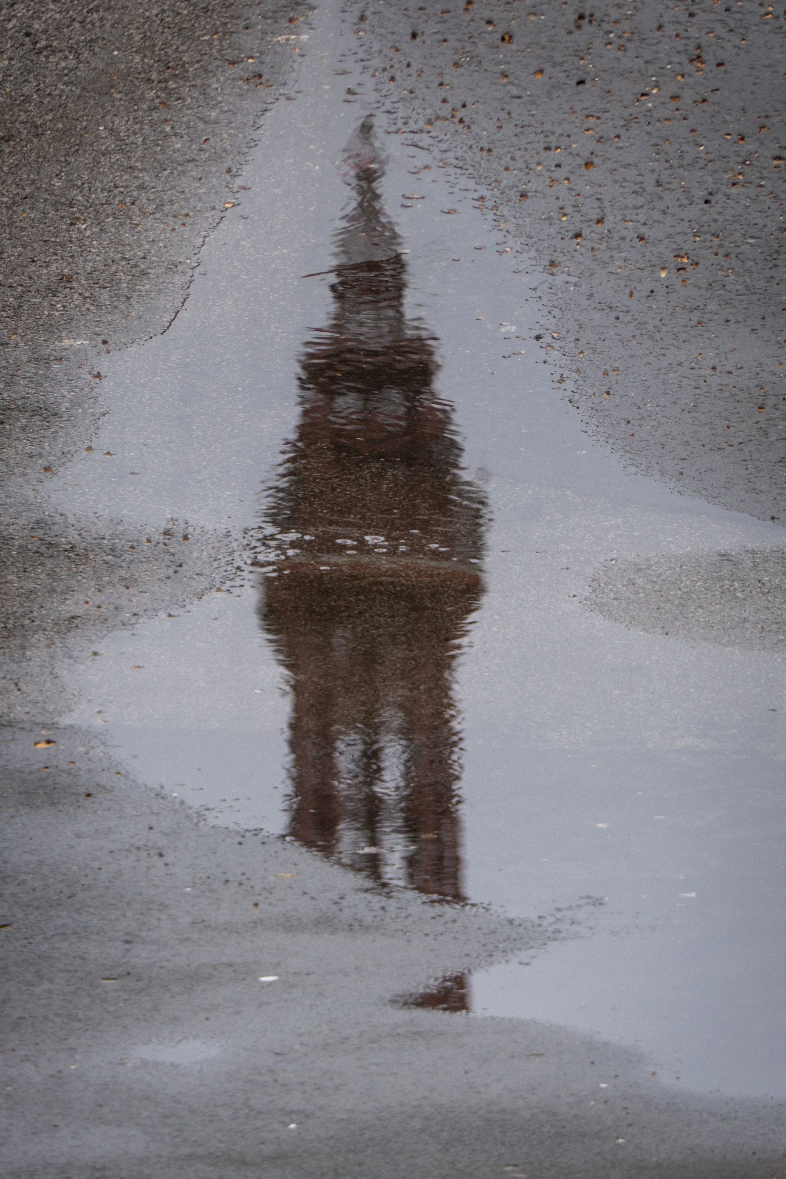 Reflection of a person walking on a wet asphalt road, with puddles of water on the ground.
