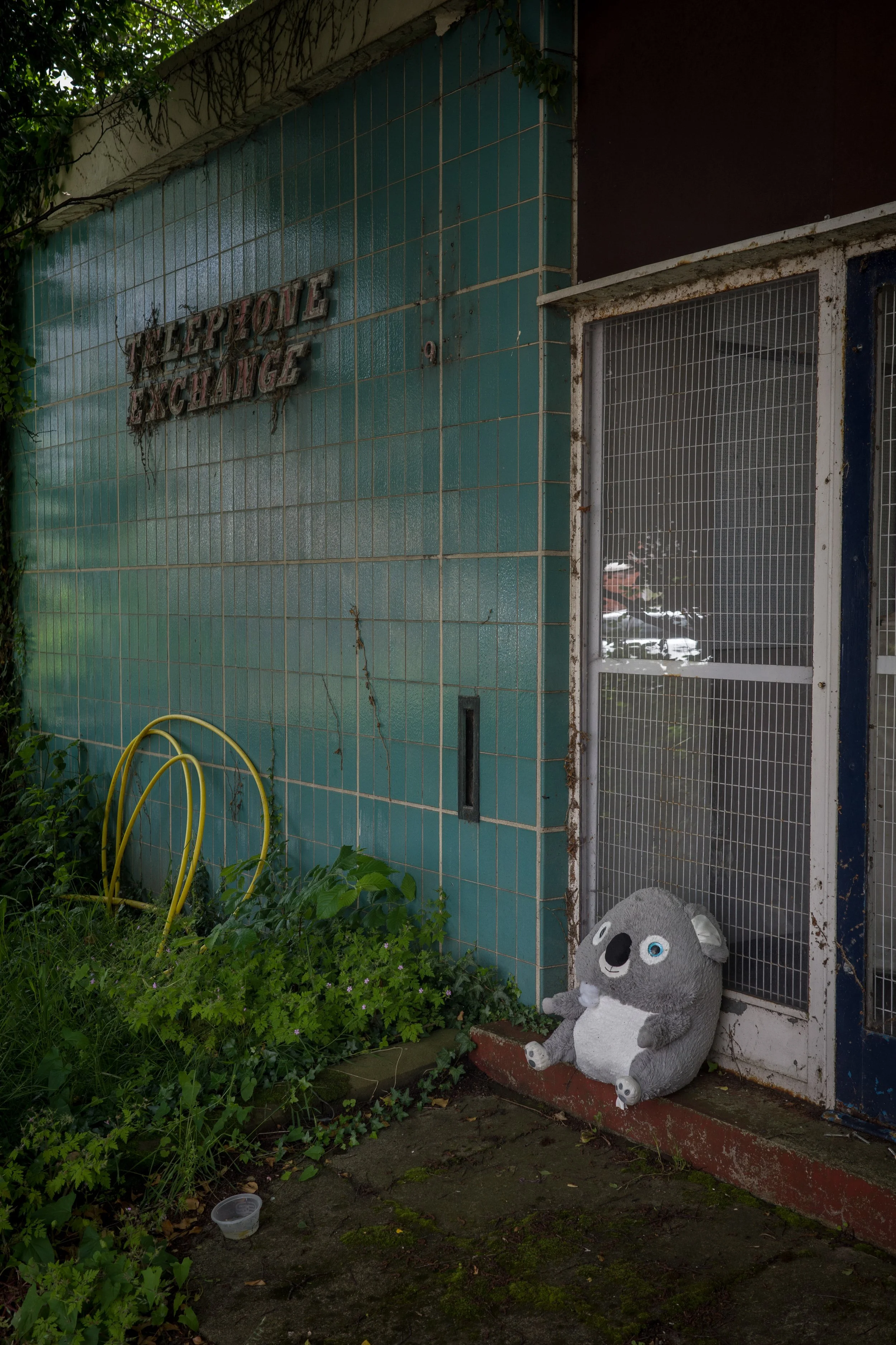 A stuffed koala toy sitting on a concrete step in front of a door with a metal grid, above which is a sign that reads 'Makepepole Makechange' on a teal tiled wall, surrounded by overgrown plants and a garden hose.