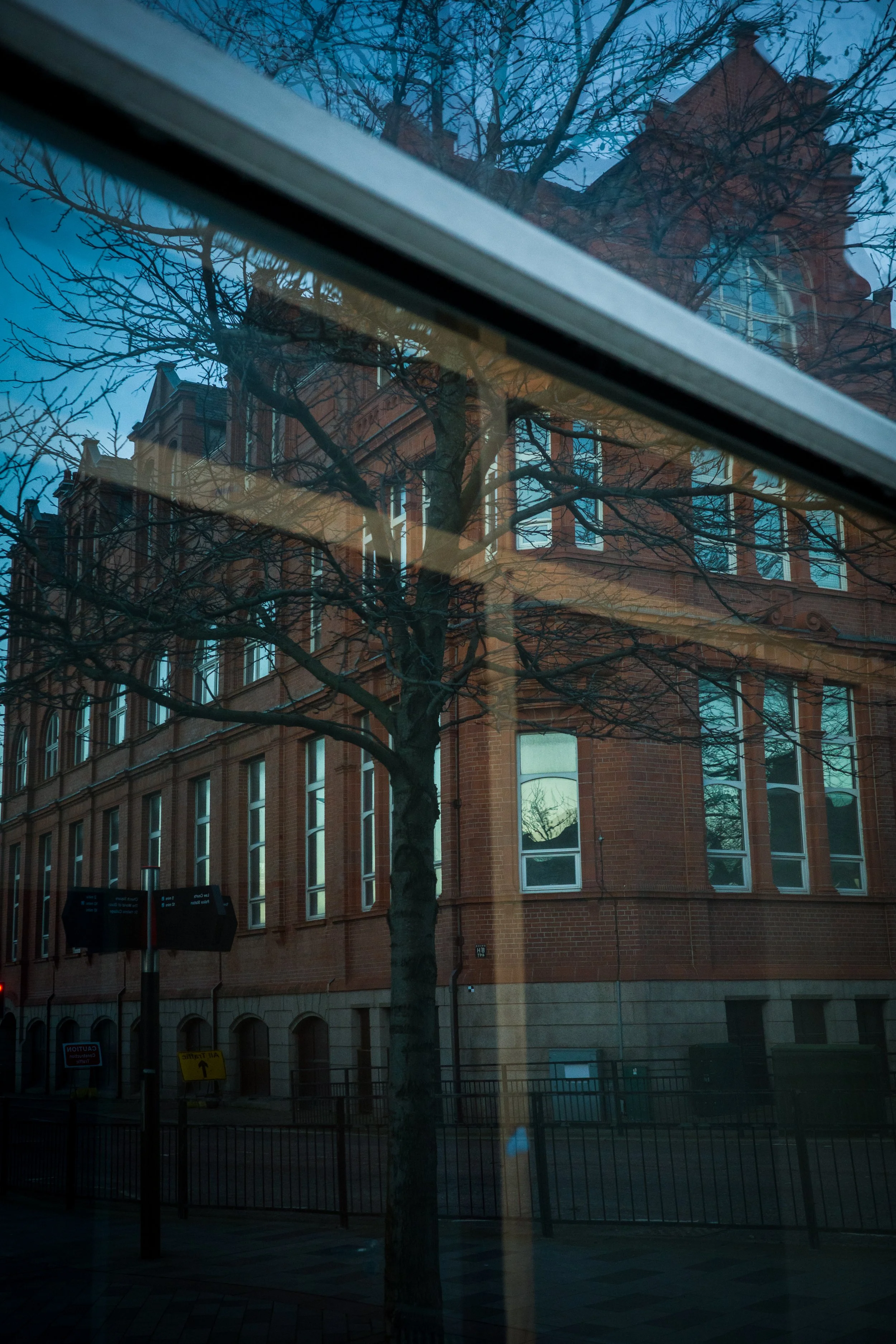 Reflection of a red brick building and leafless tree in a window with a white frame.