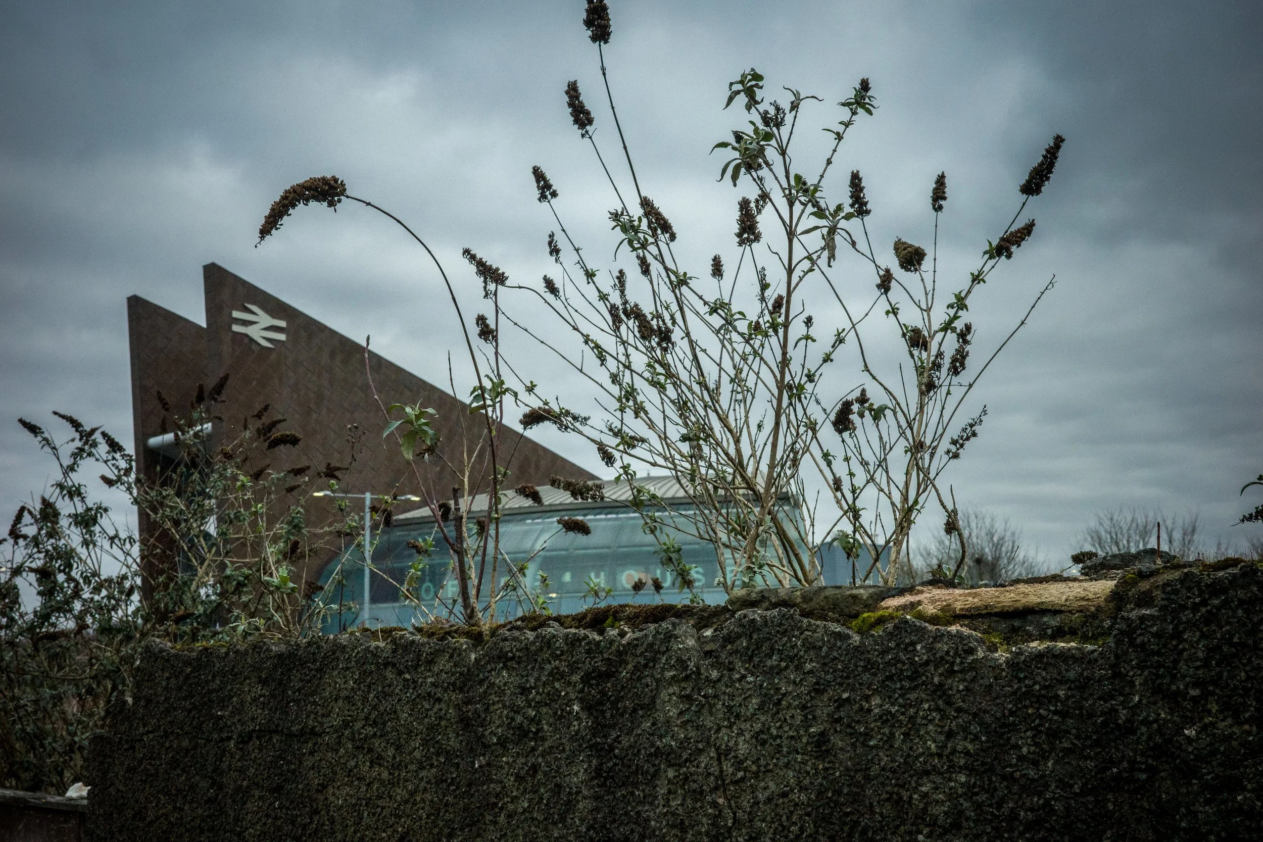 BAG_STHELENS-5.jpg