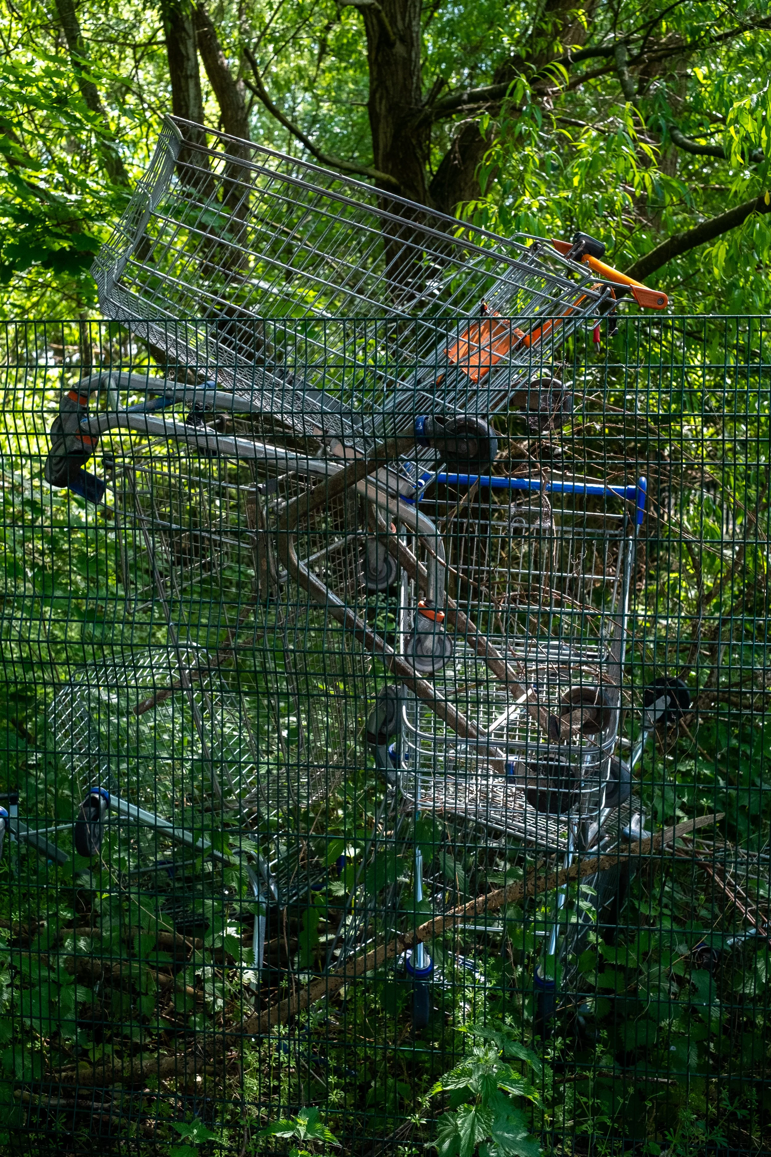WOGWORKSHOP-16.jpg