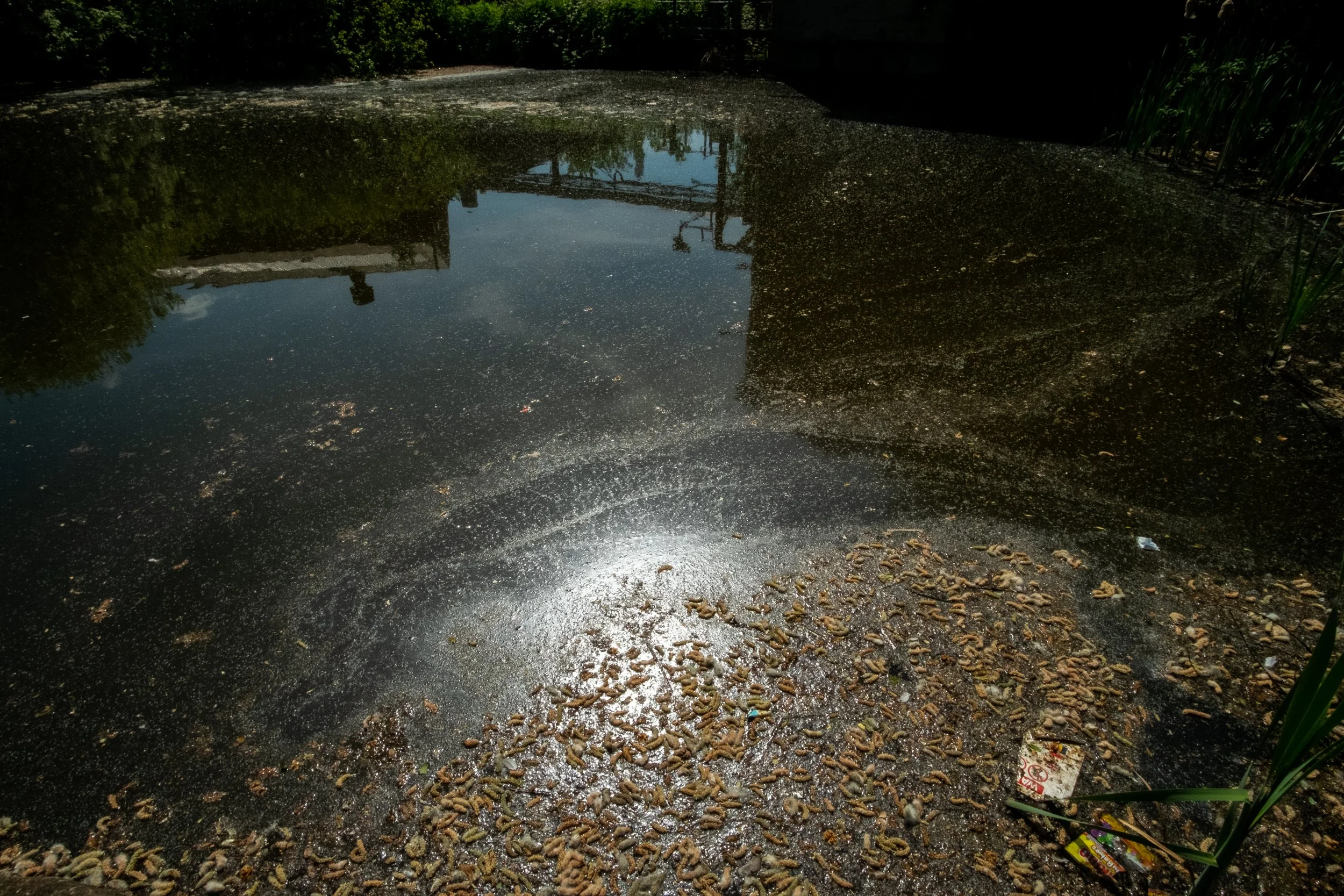 WOGWORKSHOP-13.jpg