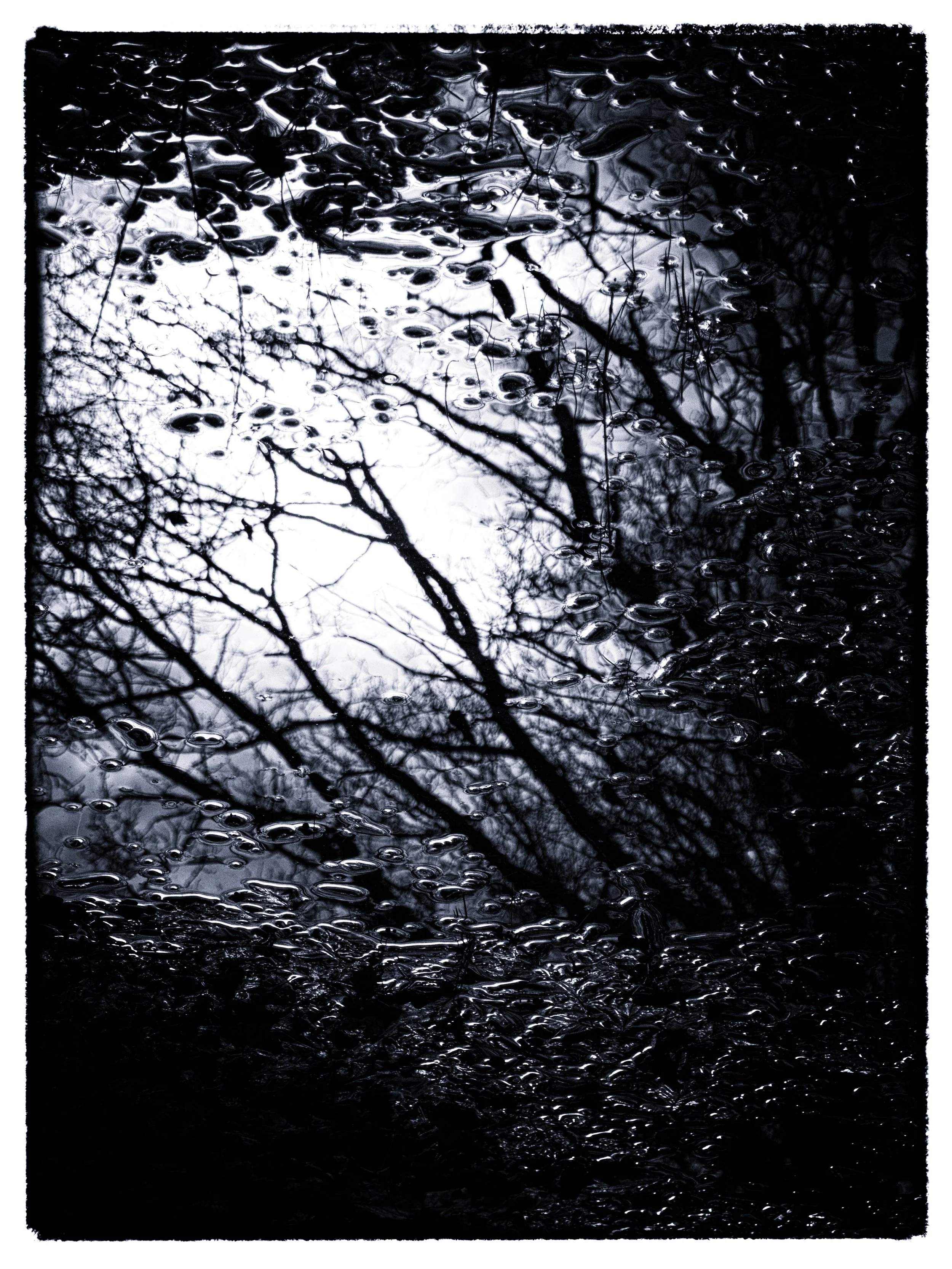 Reflection of trees on water surface with ice and bubbles, black and white photo.