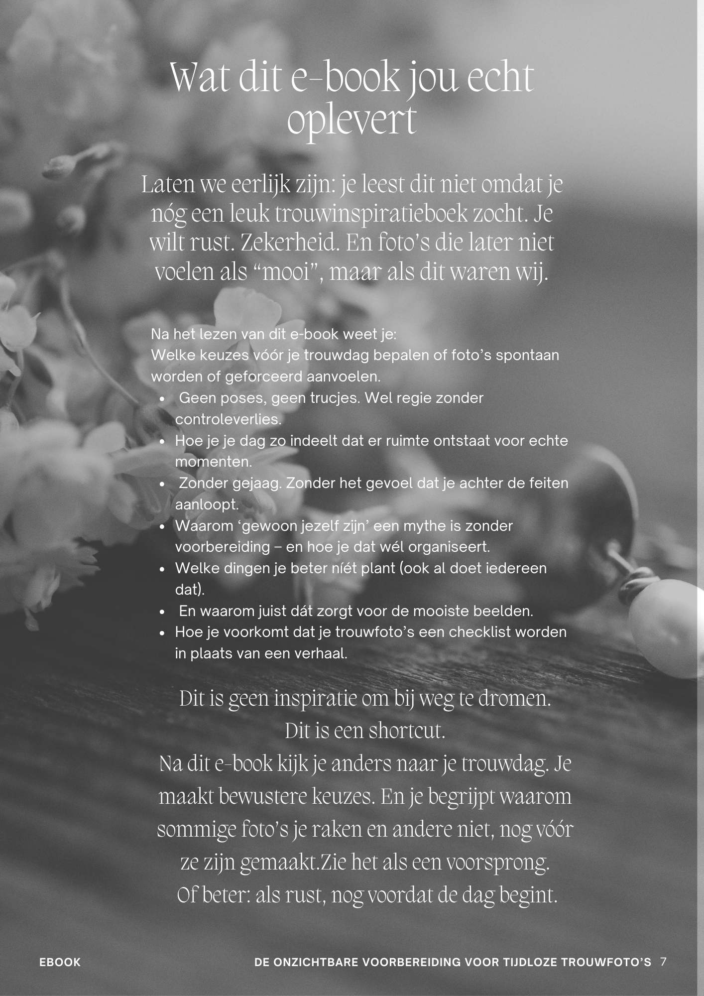 How to use opt. 2.png