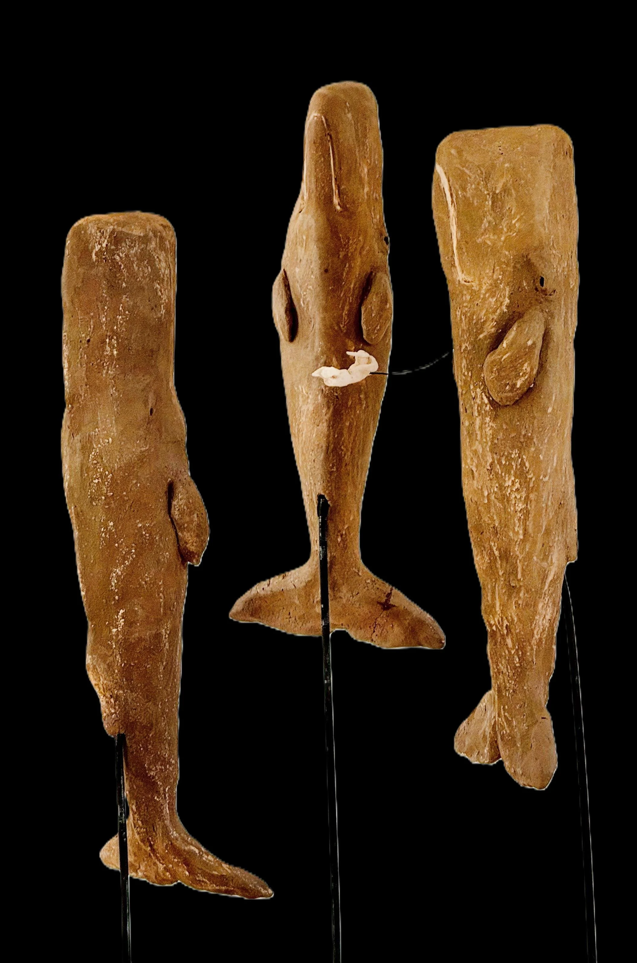 SLEEP  - Sperm Whales Sleeping (Clay, Stoneware)